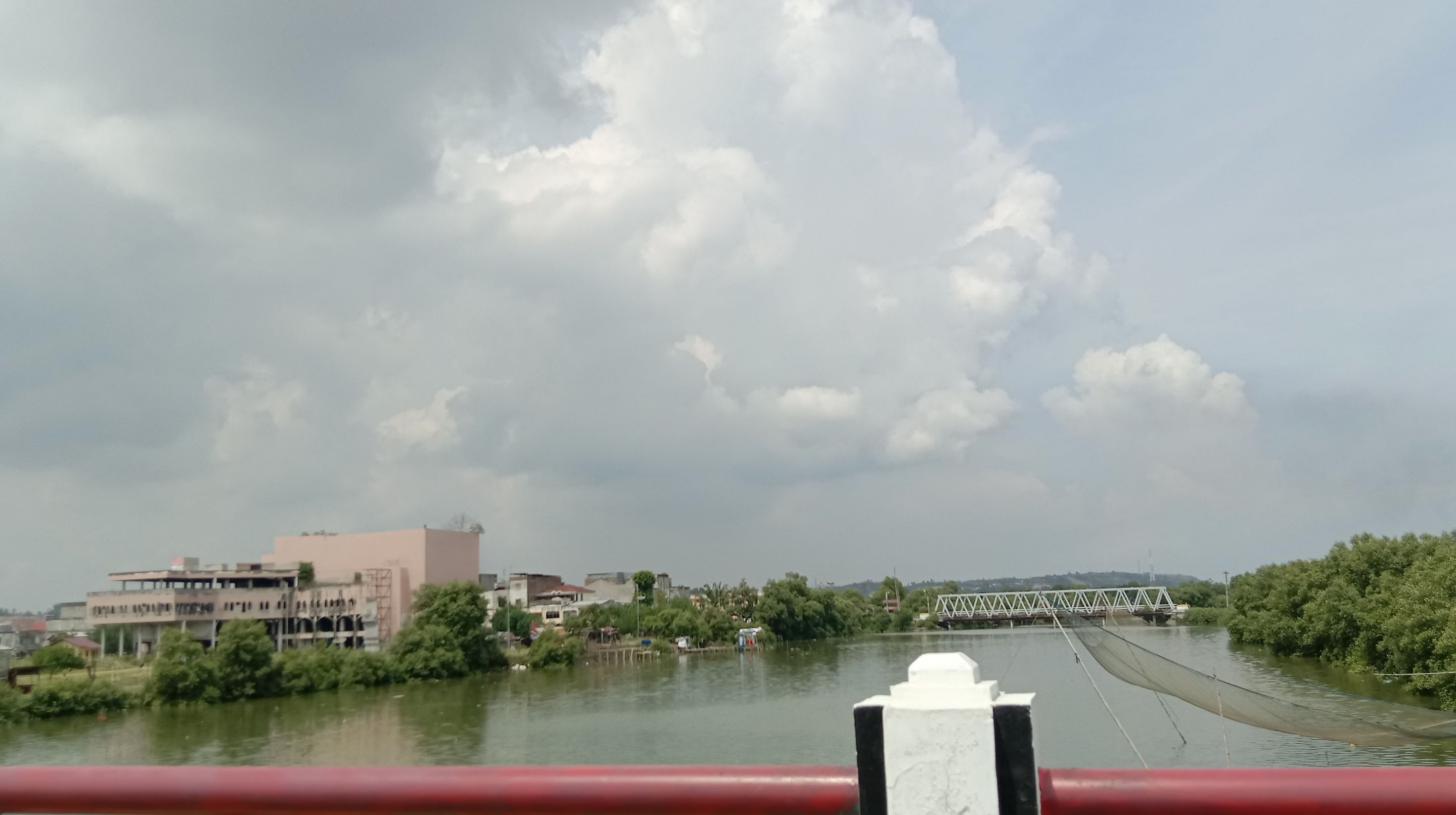 IMG_20220601_130143.jpg