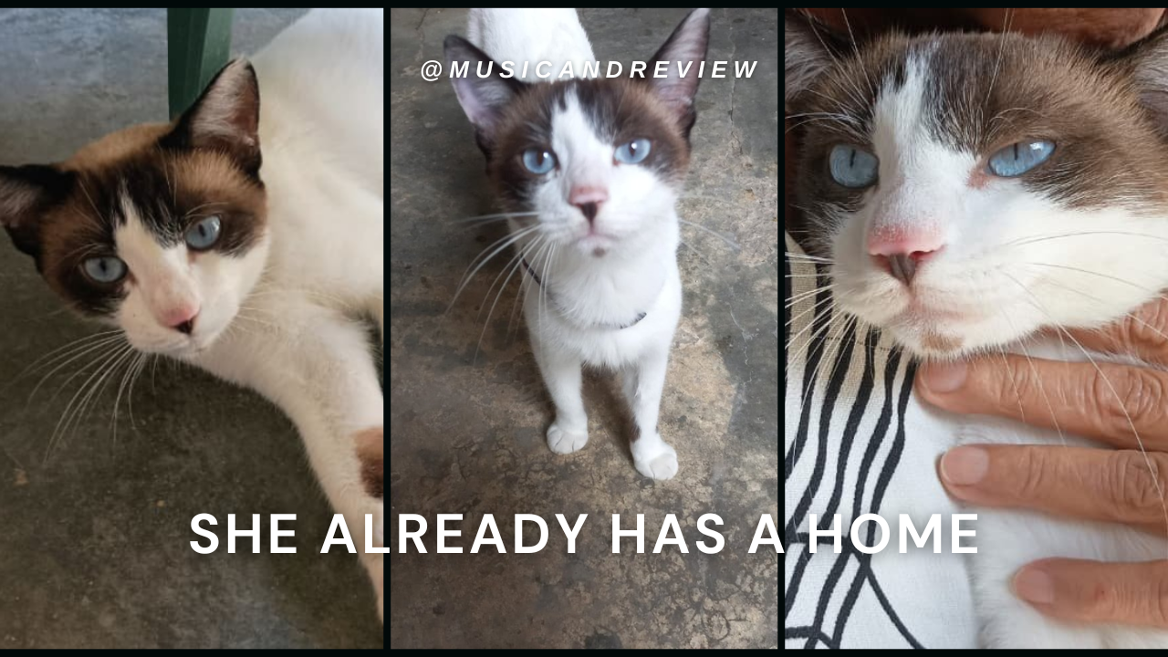 Miniatura Youtube Juegos Llamativo Negro Morado.png