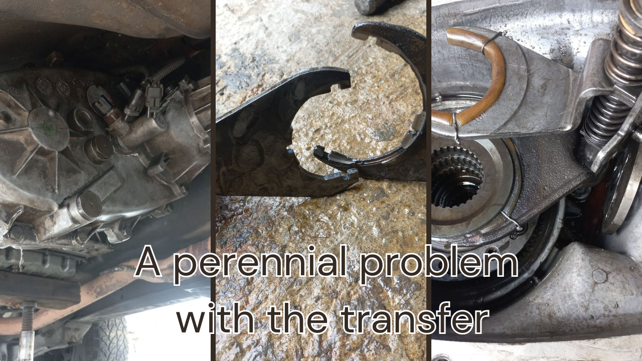 Promotional video.png