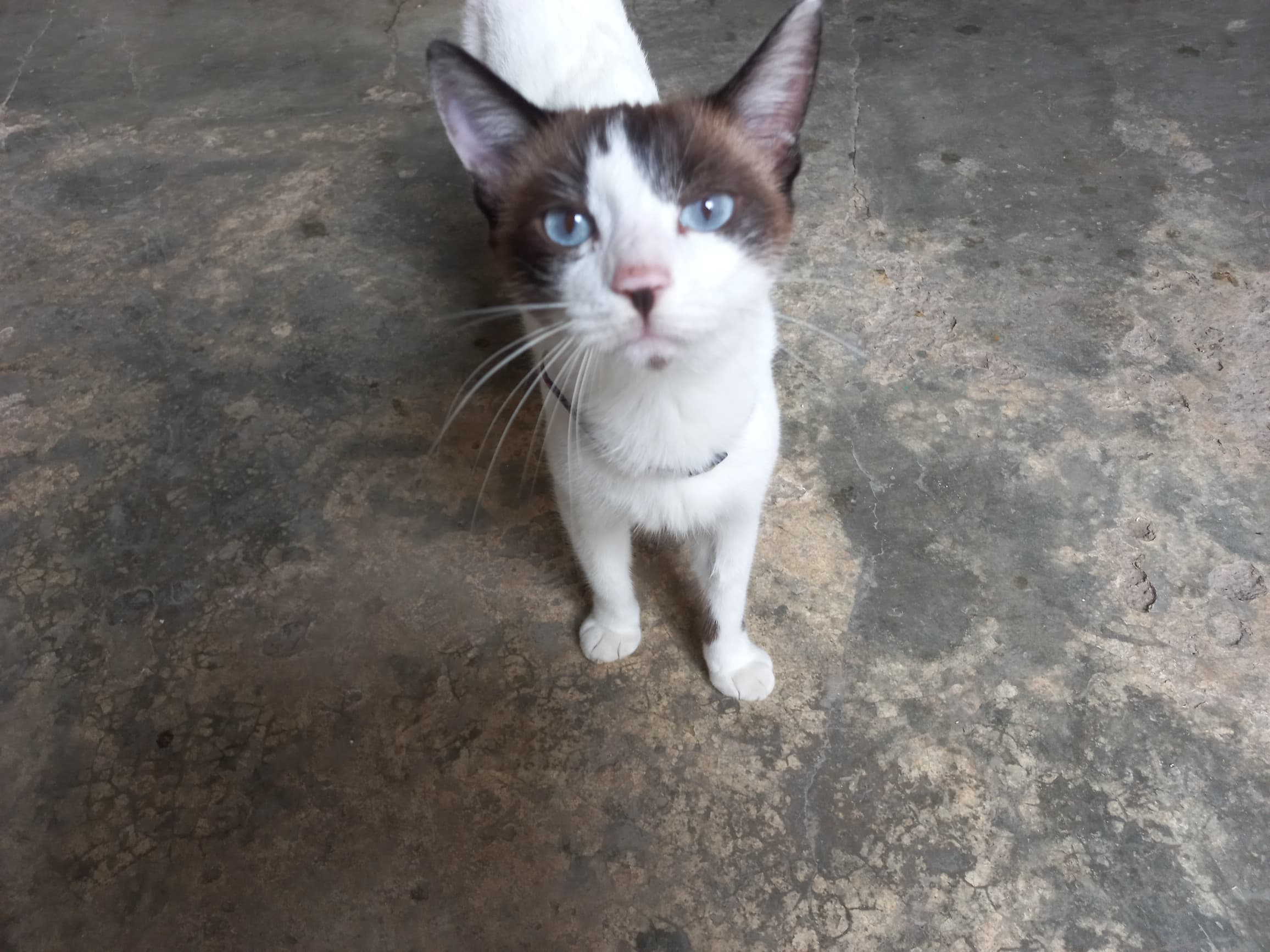 Imagen de WhatsApp 2025-10-29 a las 12.20.19_e1c8c48e.jpg