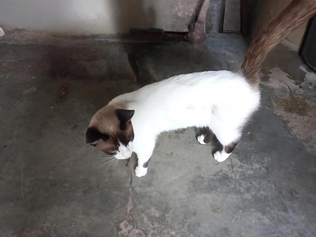 Imagen de WhatsApp 2025-10-29 a las 12.23.49_0737fc52.jpg