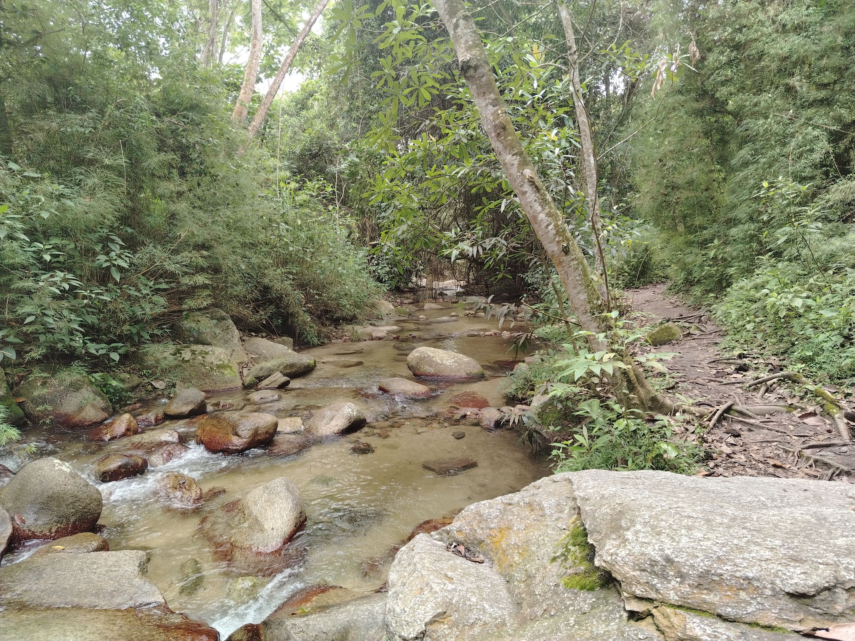 IMG_20250814_121953.jpg
