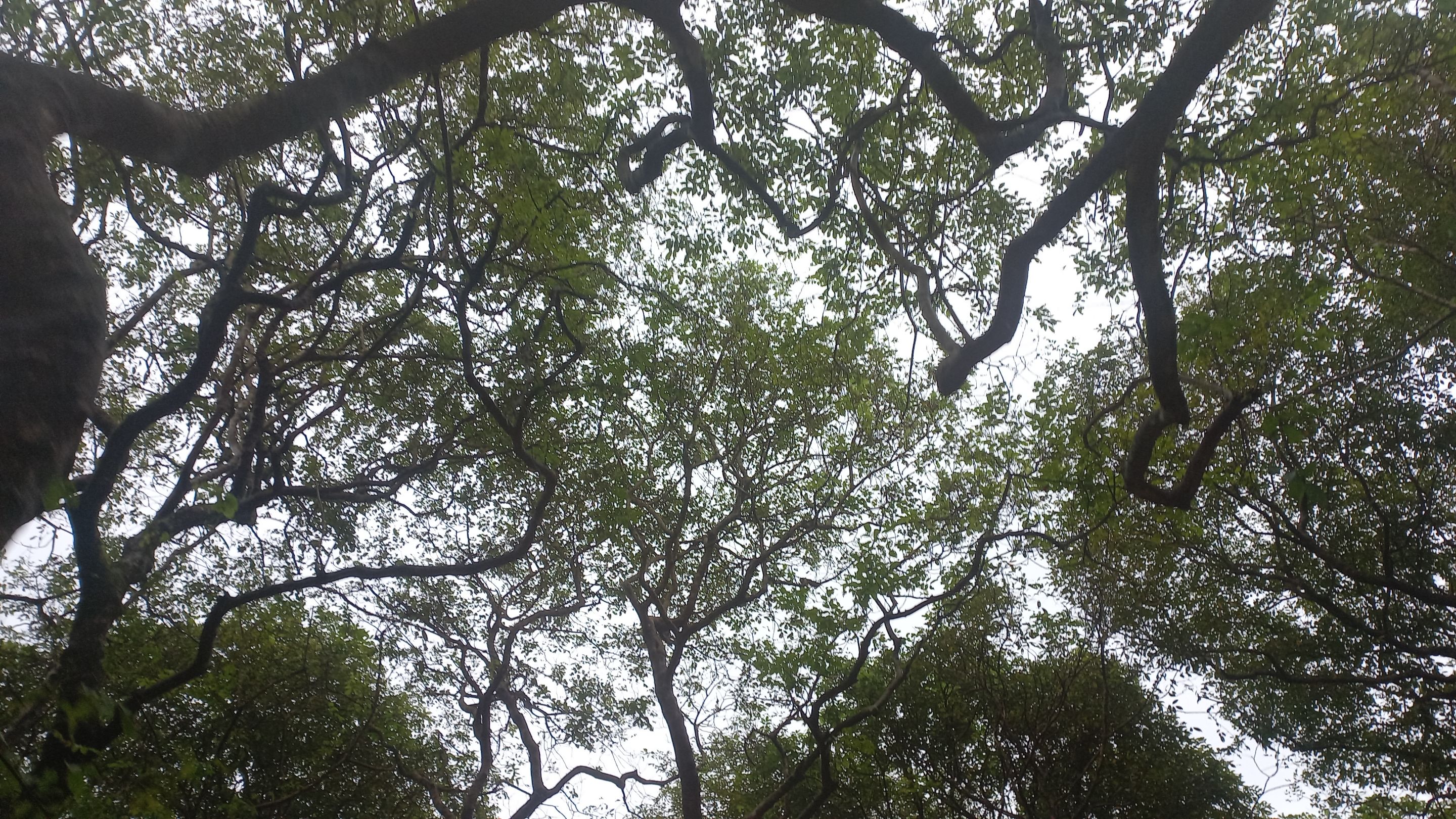 20231007_164254.jpg