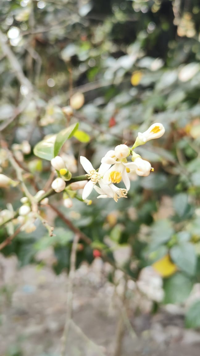 IMG20210220WA0031.jpg