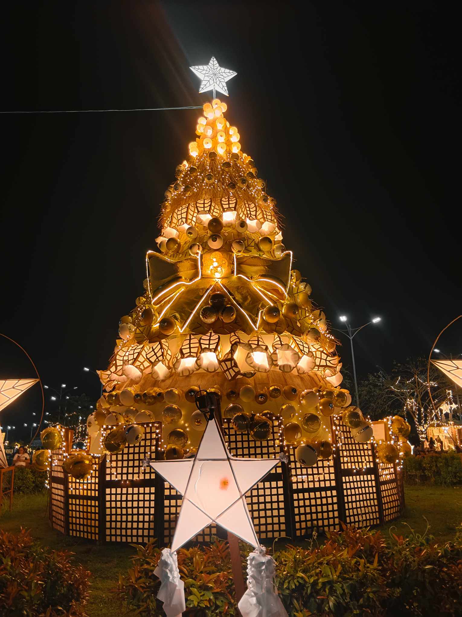 christmas tree.jpg