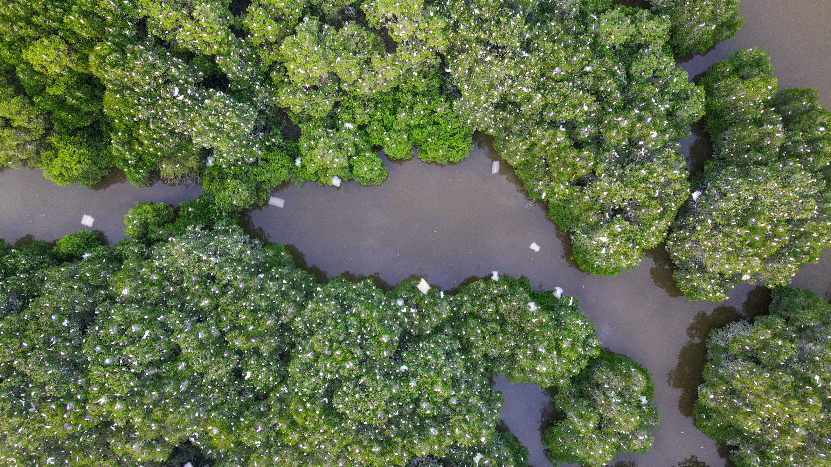 DJI_0162.JPG