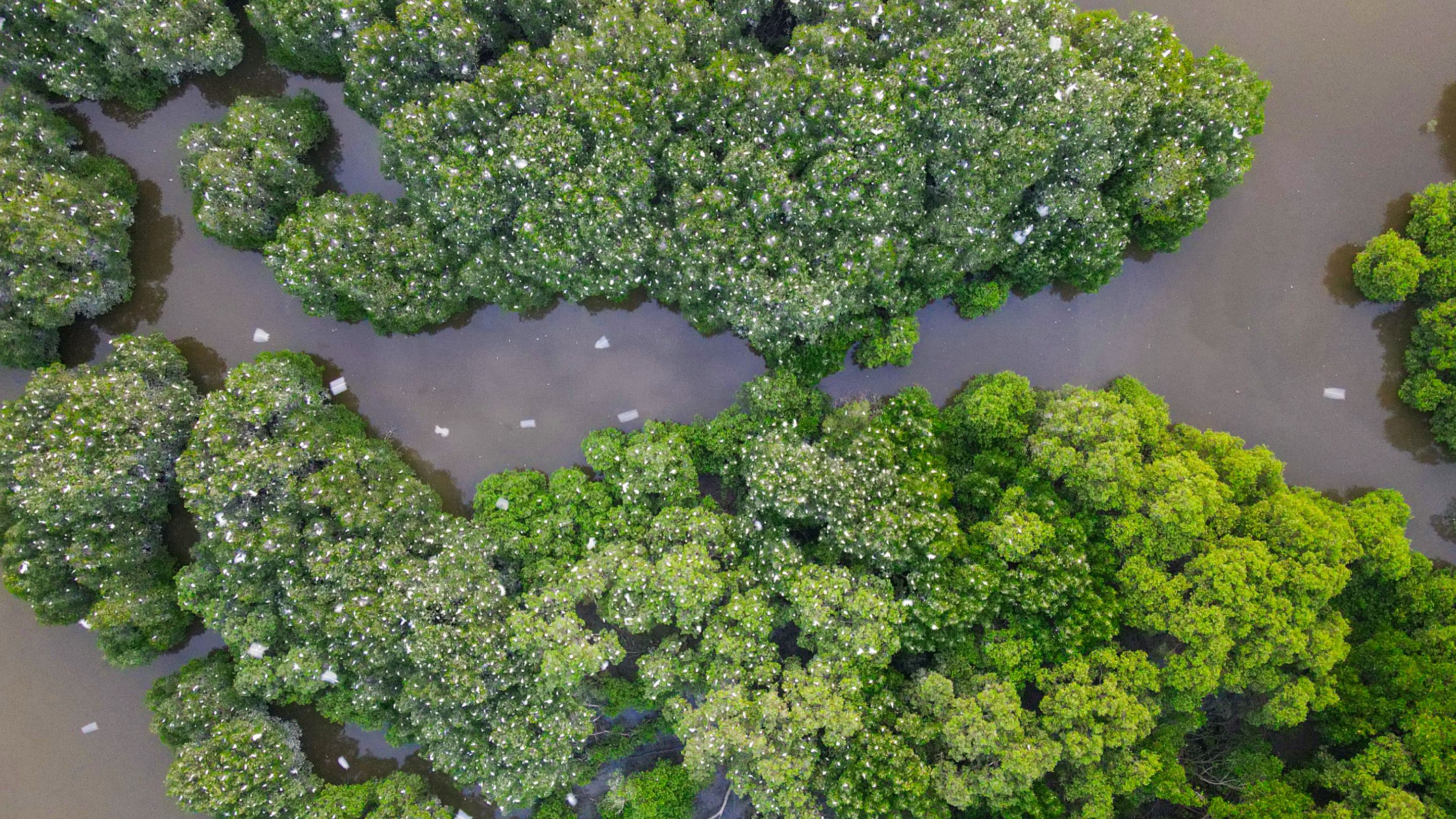 DJI_0167.JPG