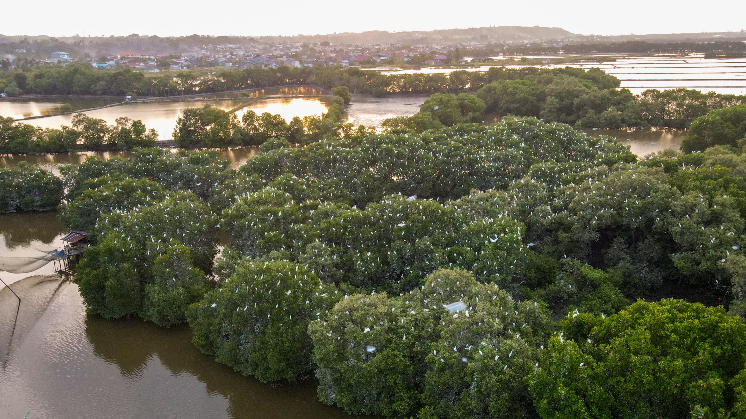 DJI_0154.JPG