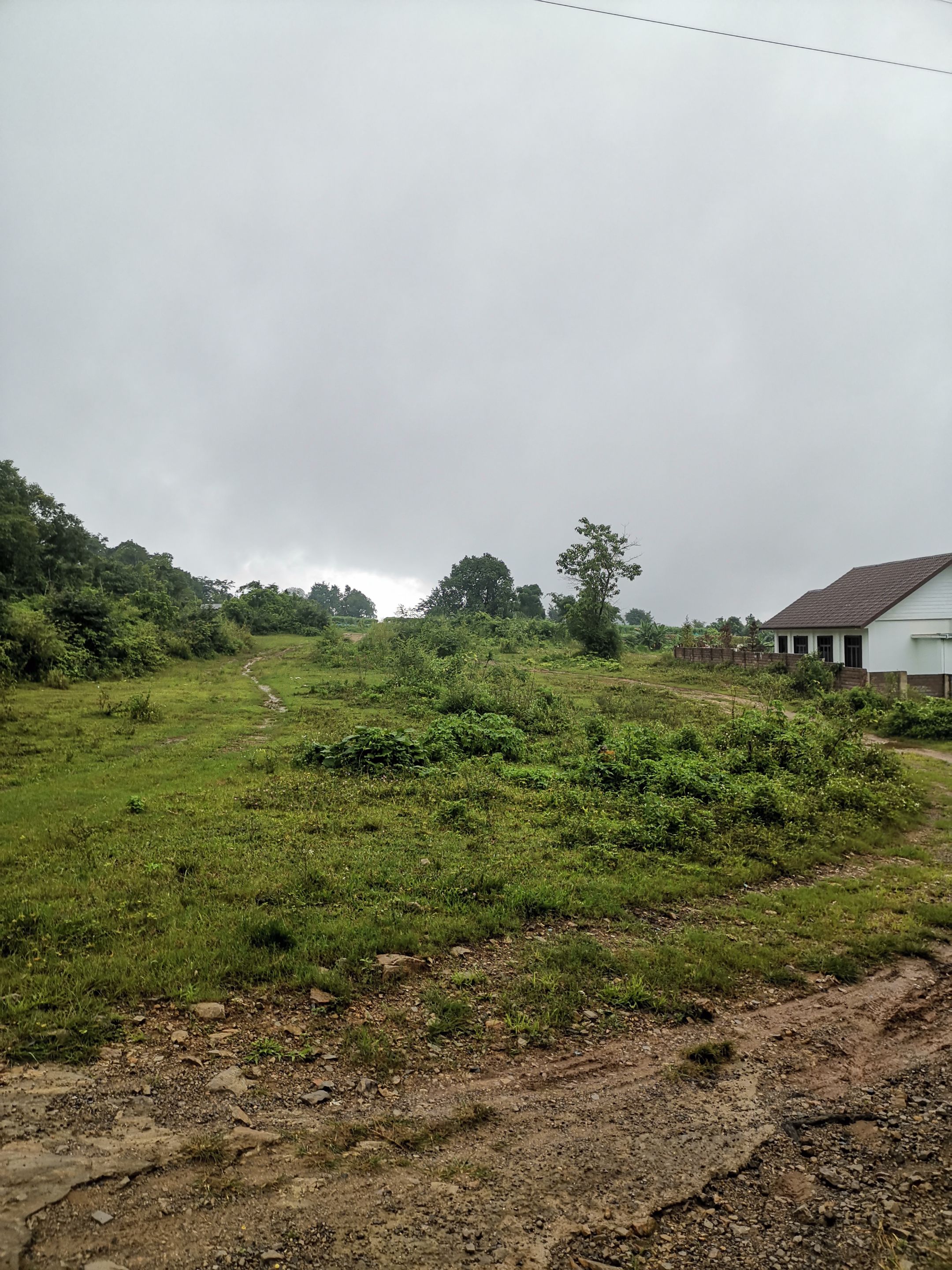 IMG_20250727_165647.jpg