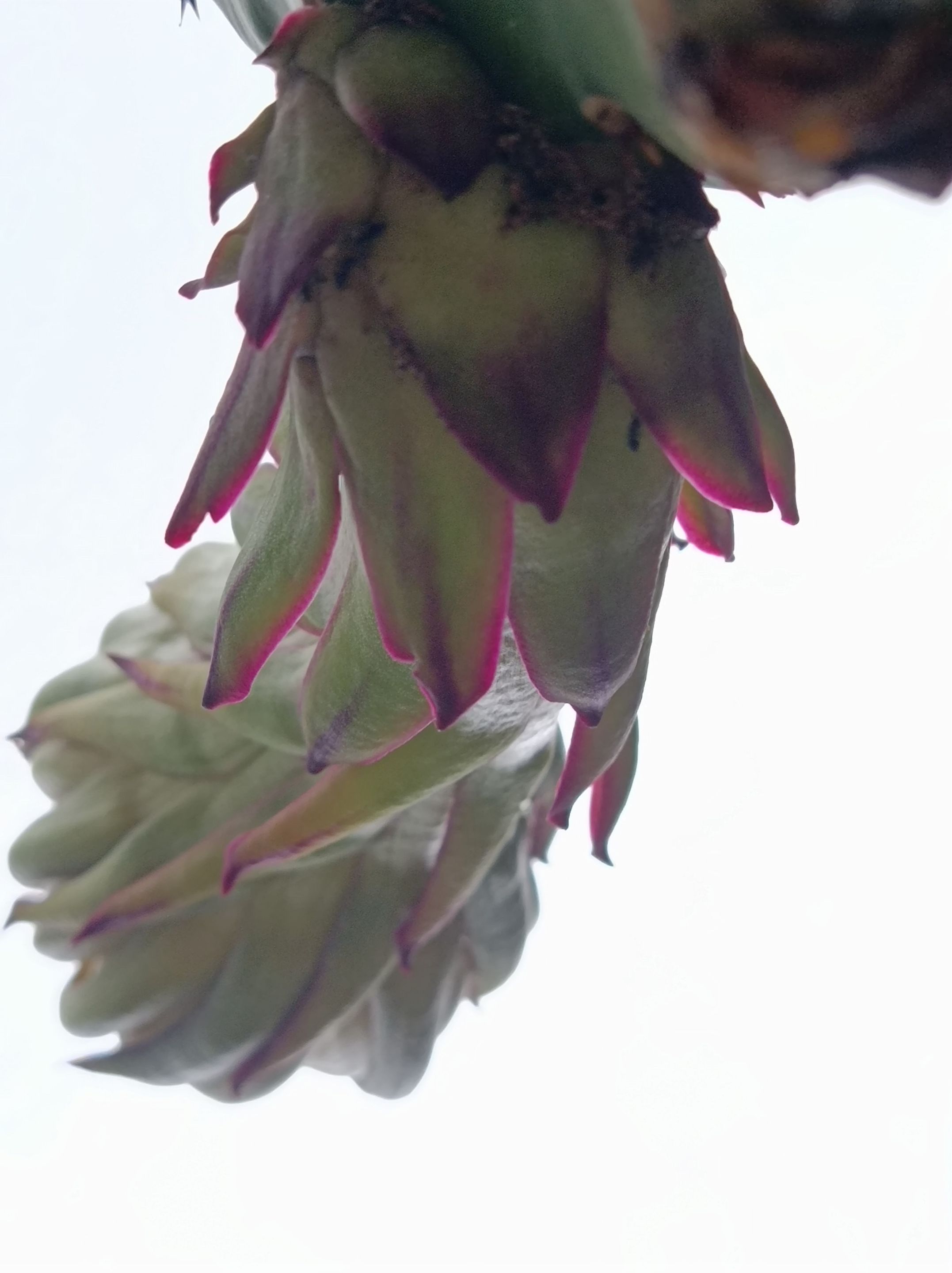 IMG_20250920_165119.jpg
