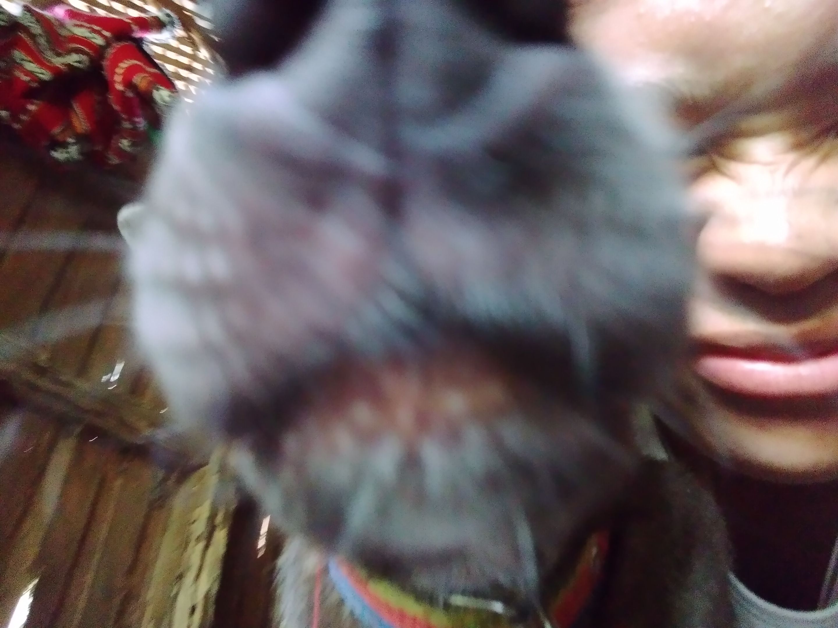 20250516_155028.jpg