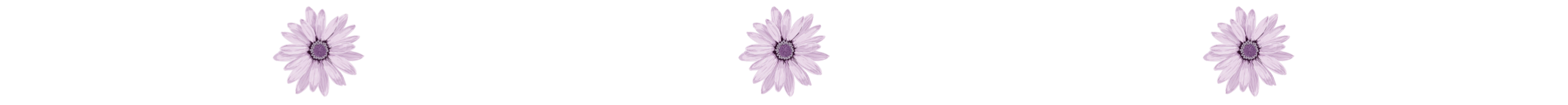 1000282324.png