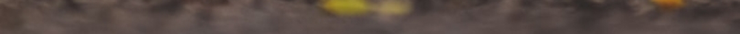 1000329906.jpg