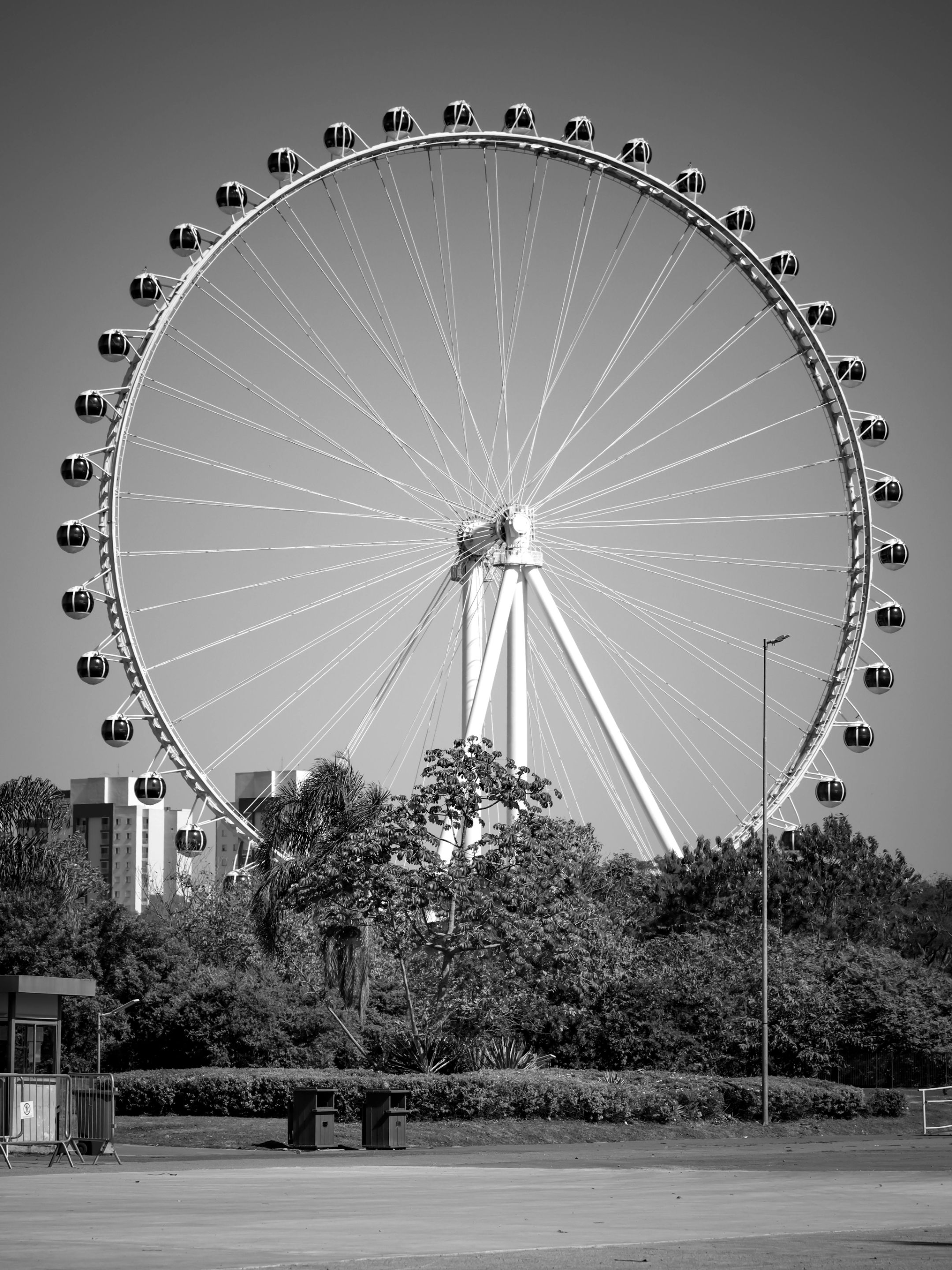 1000269337.jpg