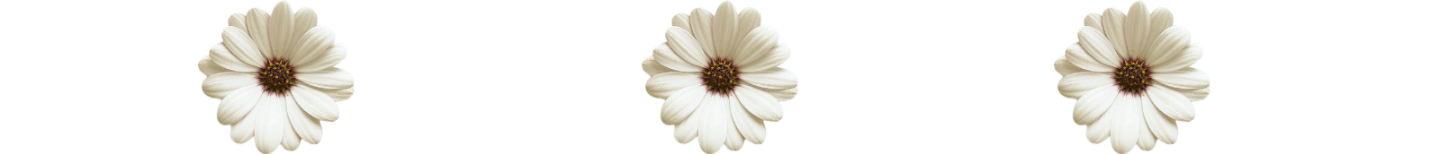Picsart_23-12-25_23-37-57-346.png