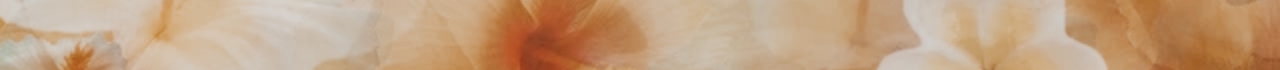 1000295097.jpg
