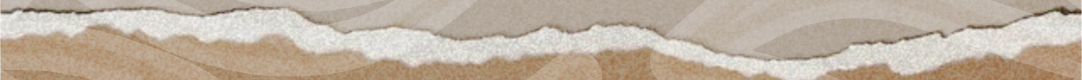 1000296695.png