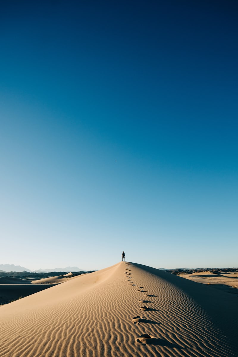 1000326765.jpg