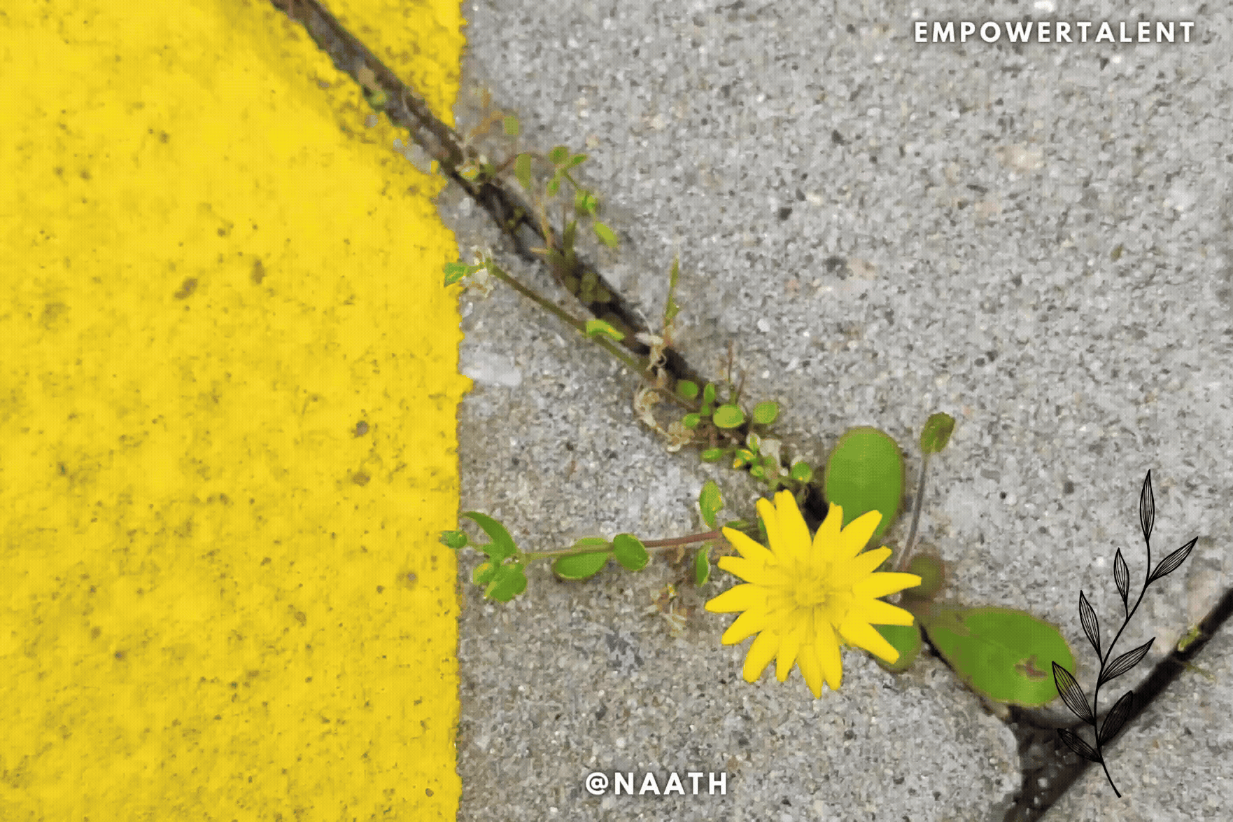 1000268671.gif