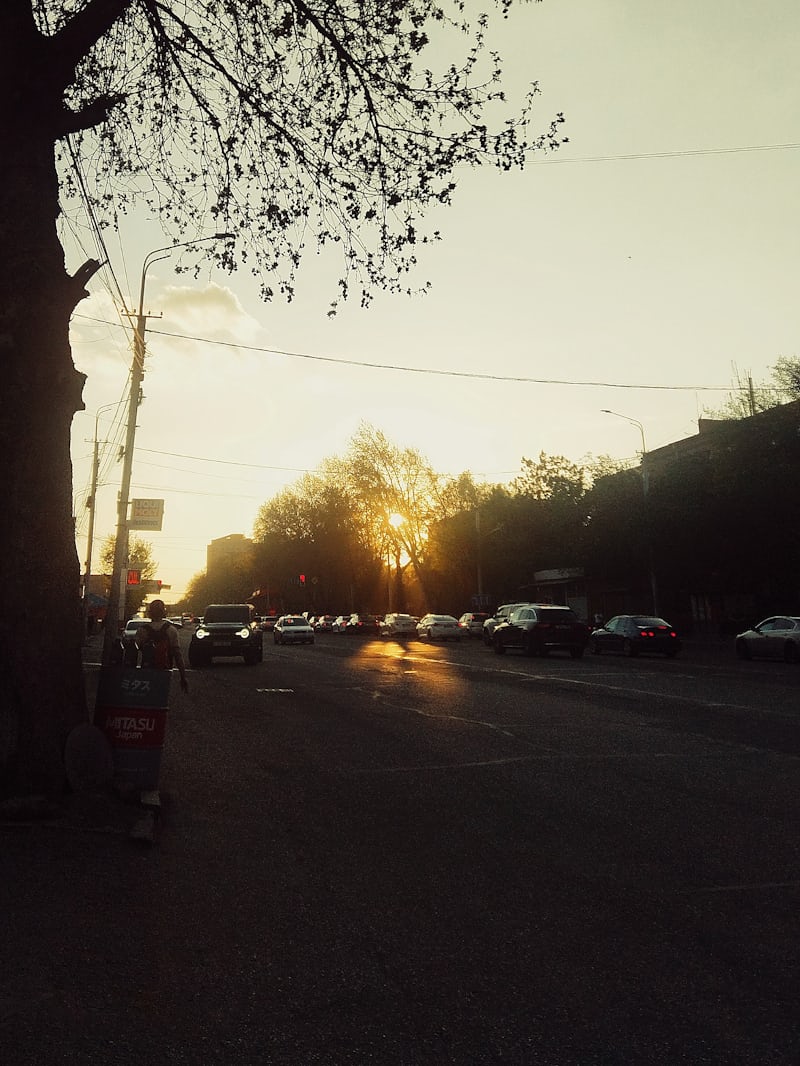 1000317531.jpg