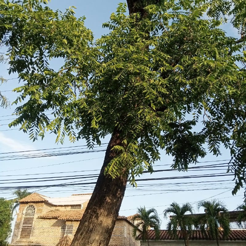 1000293276.jpg