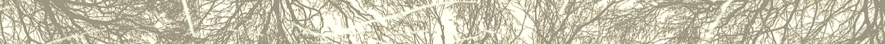 1000304567.jpg