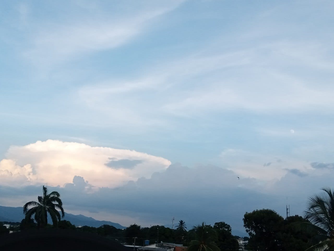 1000293300.jpg