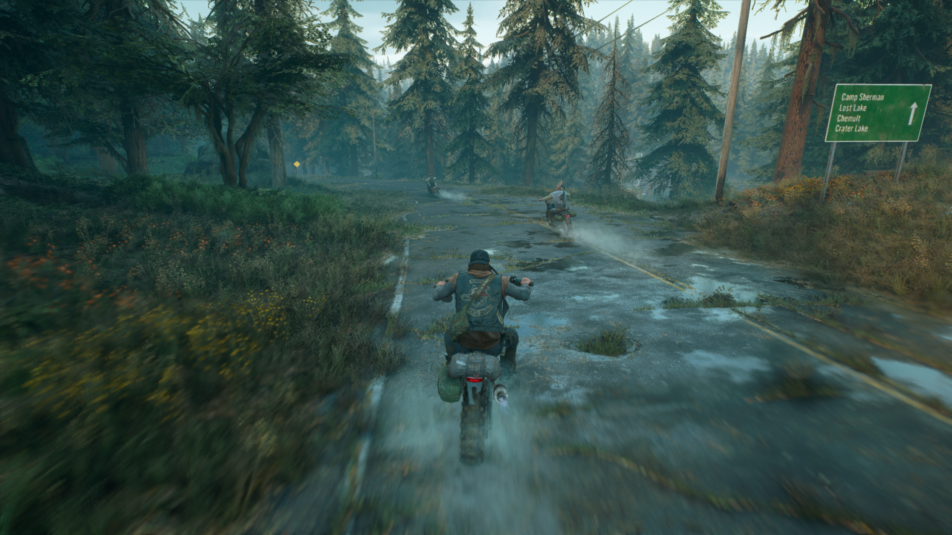 DaysGone (23).png