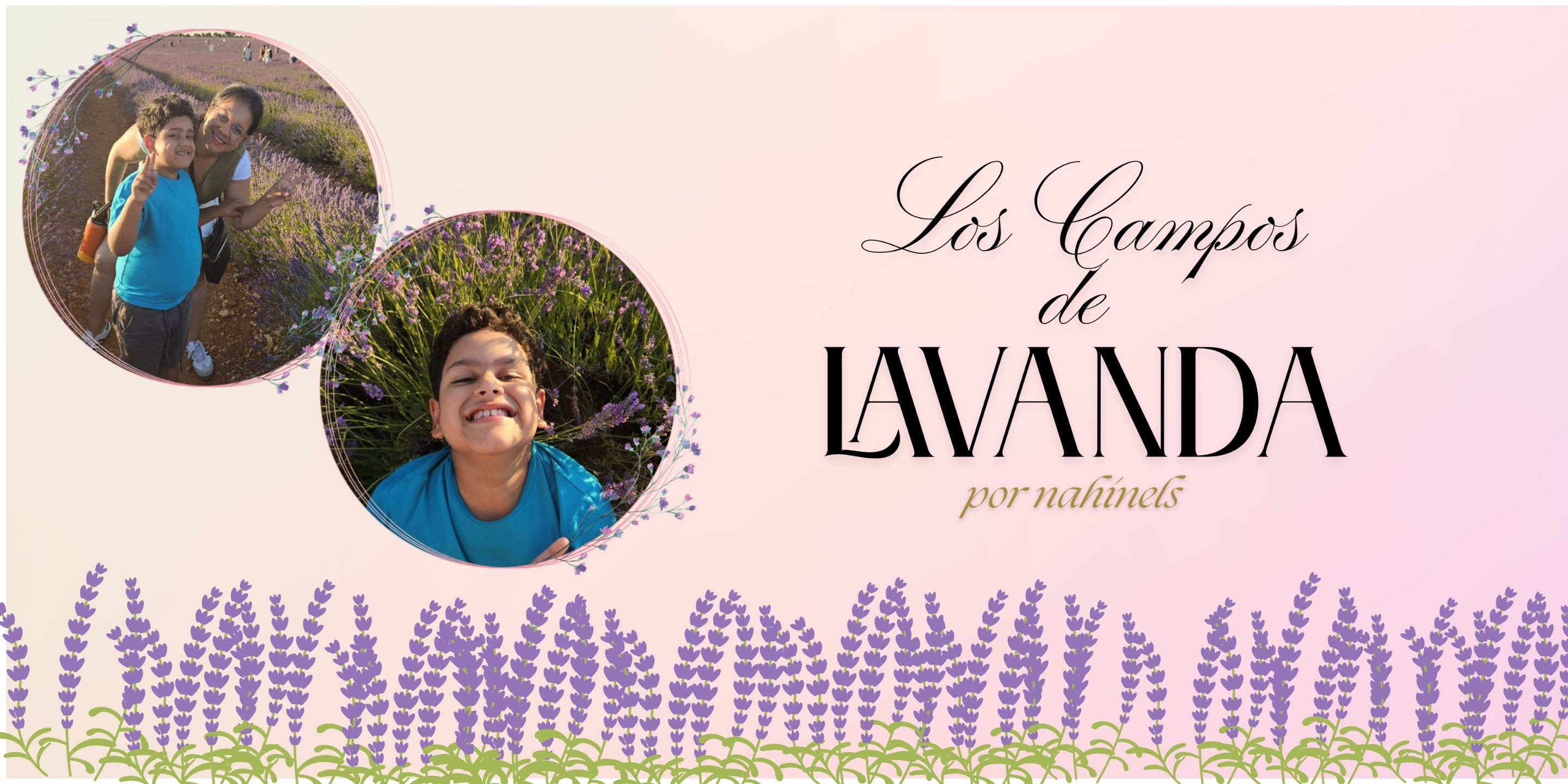Lavanda.jpg