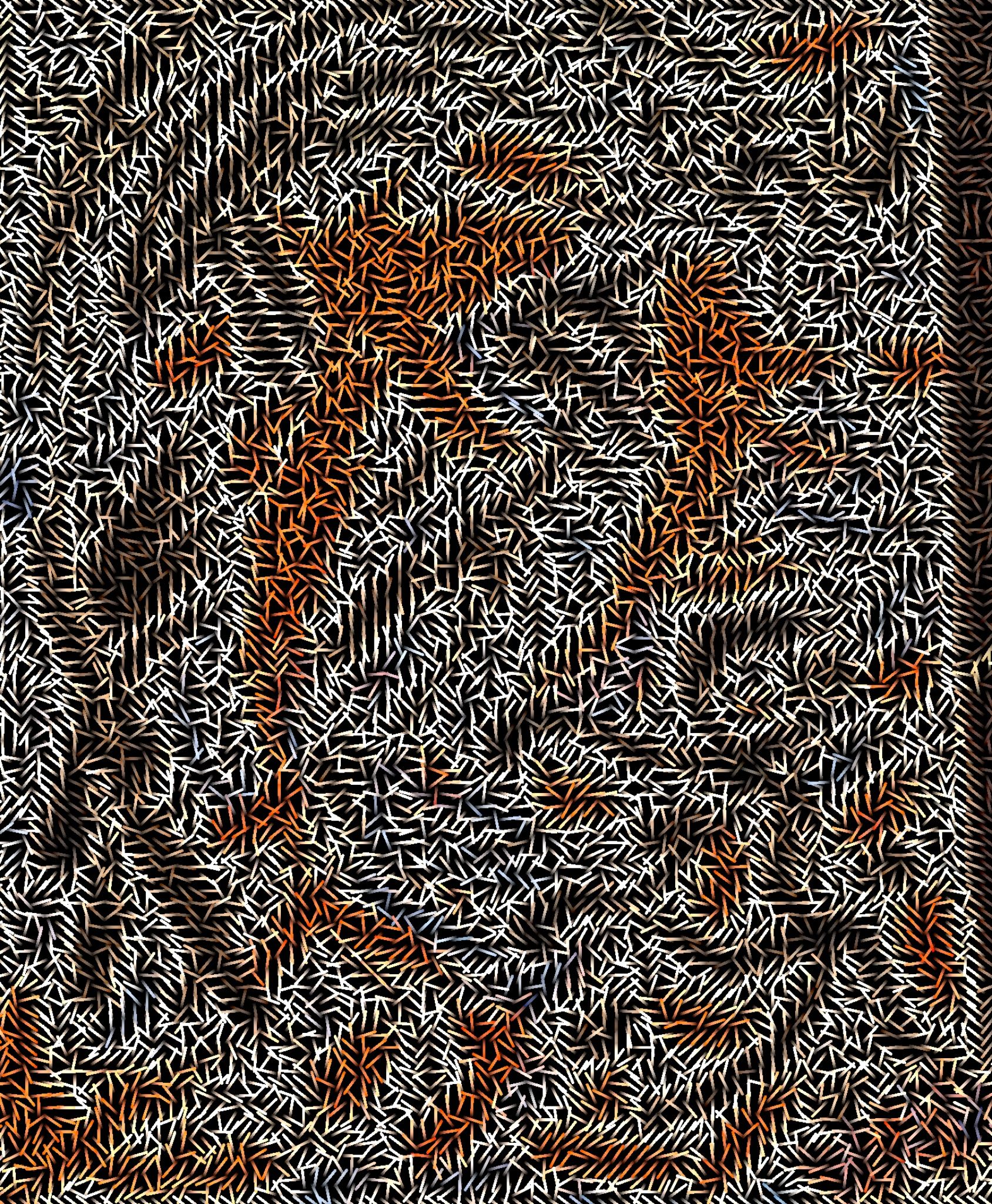 1000293793.jpg
