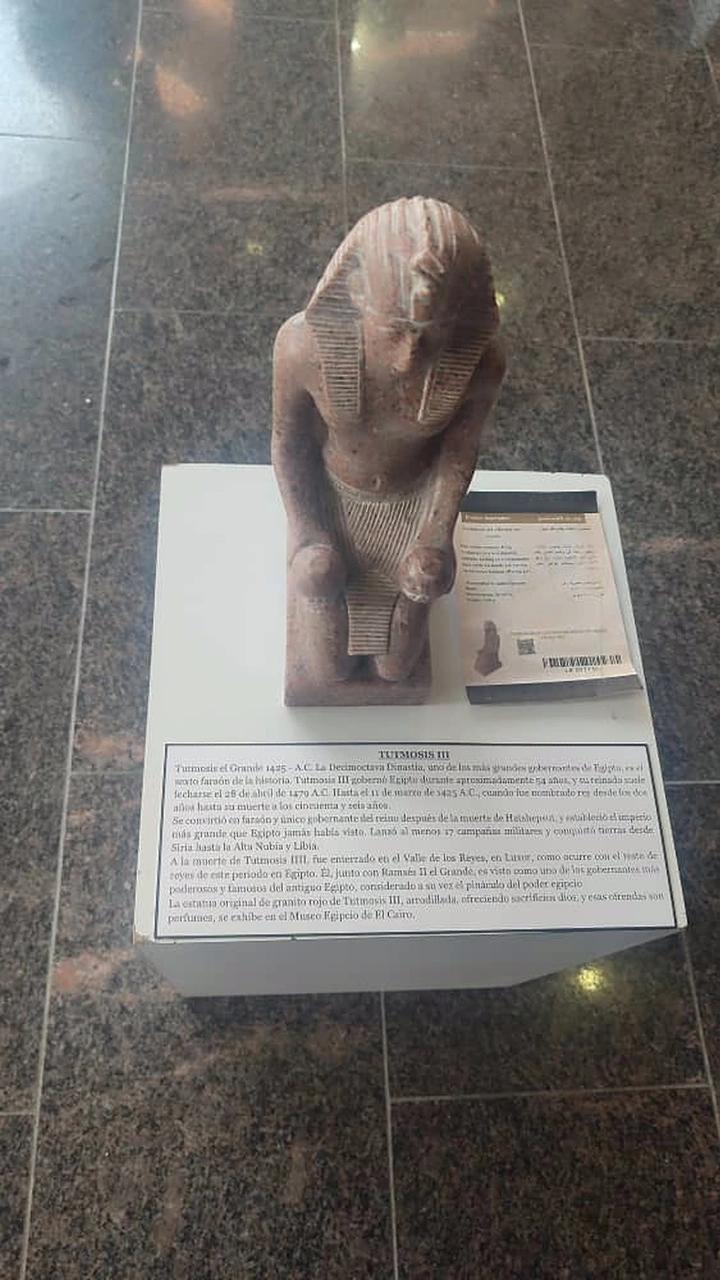 1000272747.jpg
