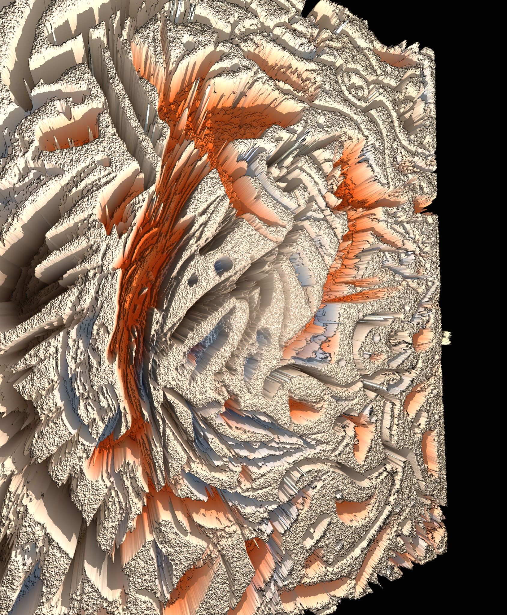 1000293804.jpg