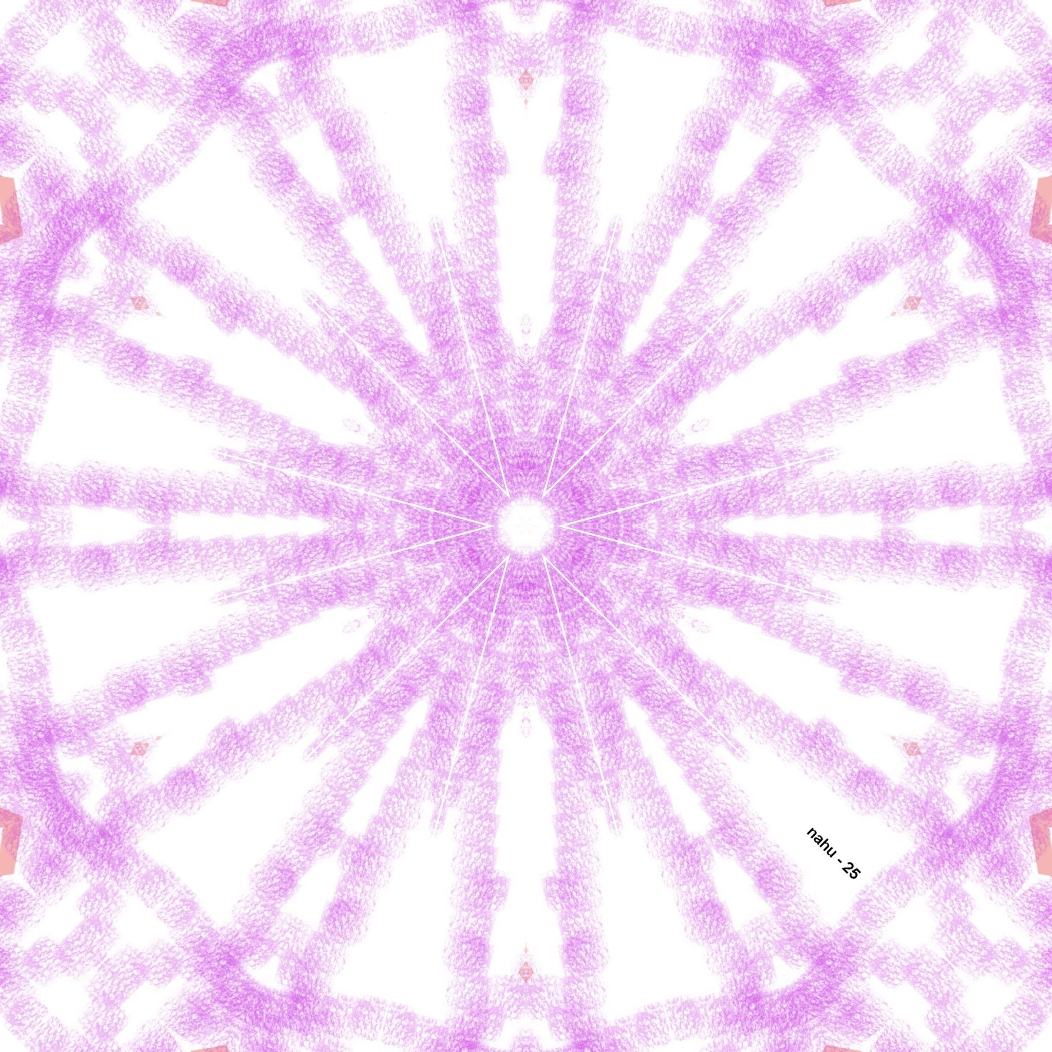 1000200691_mirror.jpg