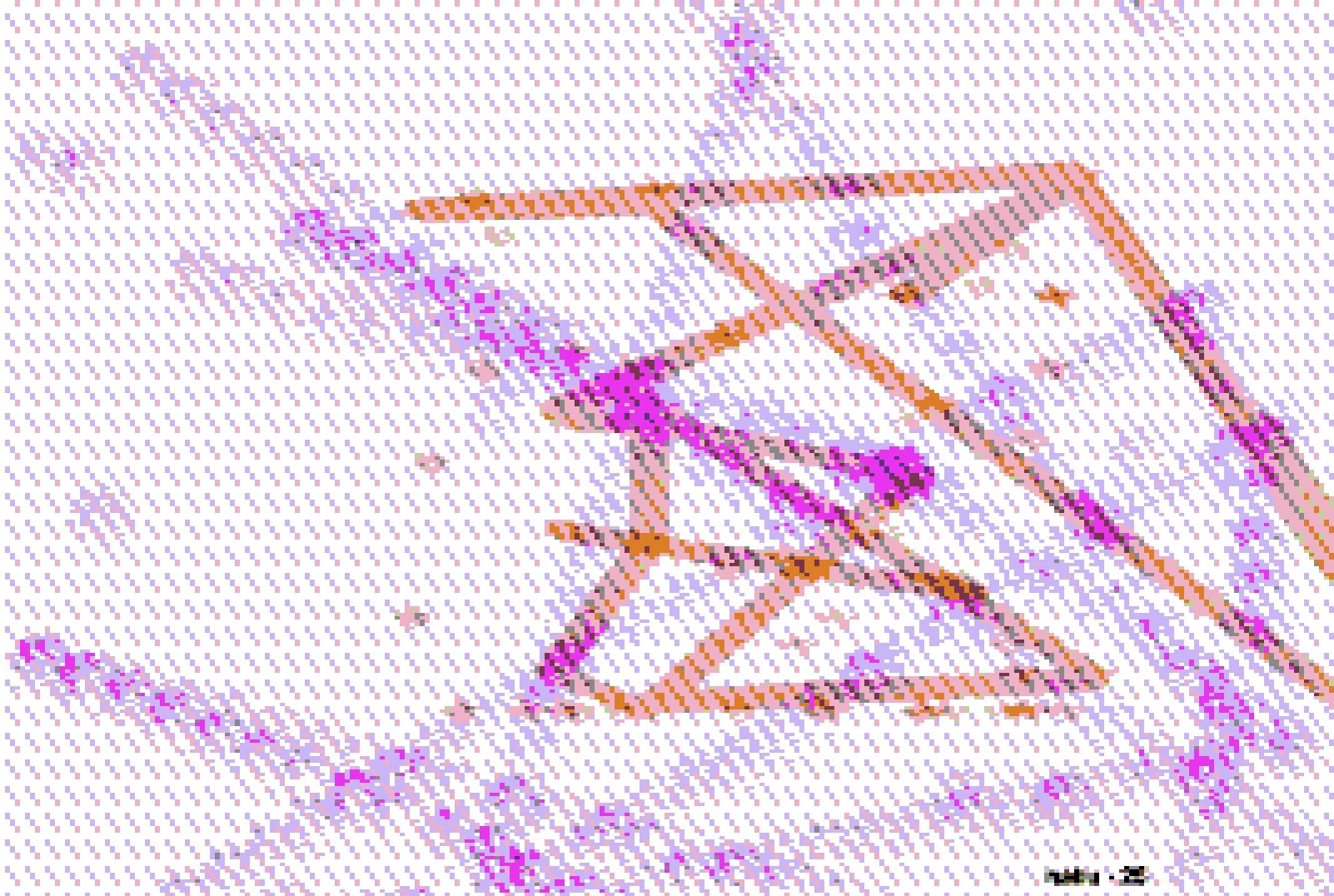 1000200691_eightbit.jpg