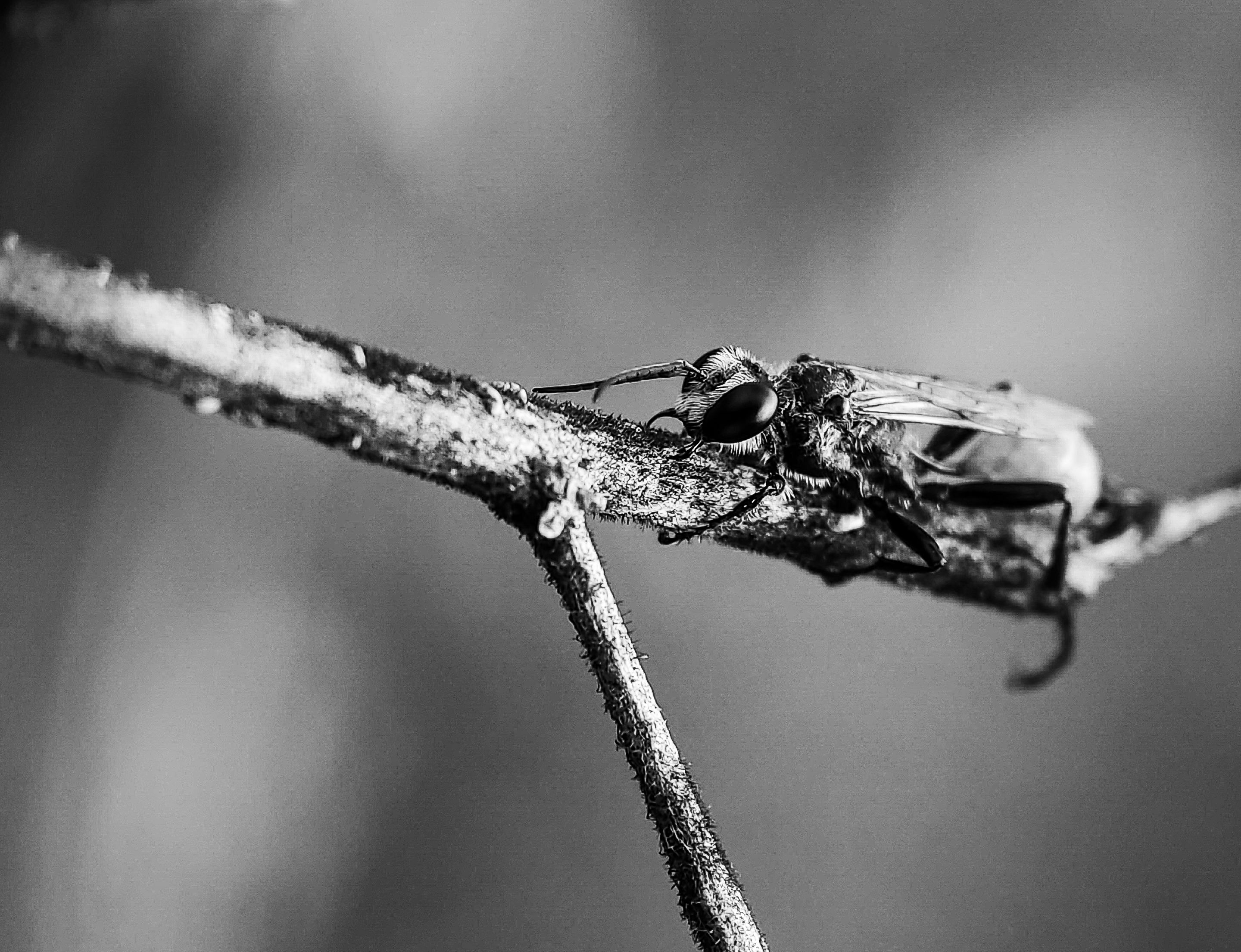 IMG_20250817_172714 (1).jpg