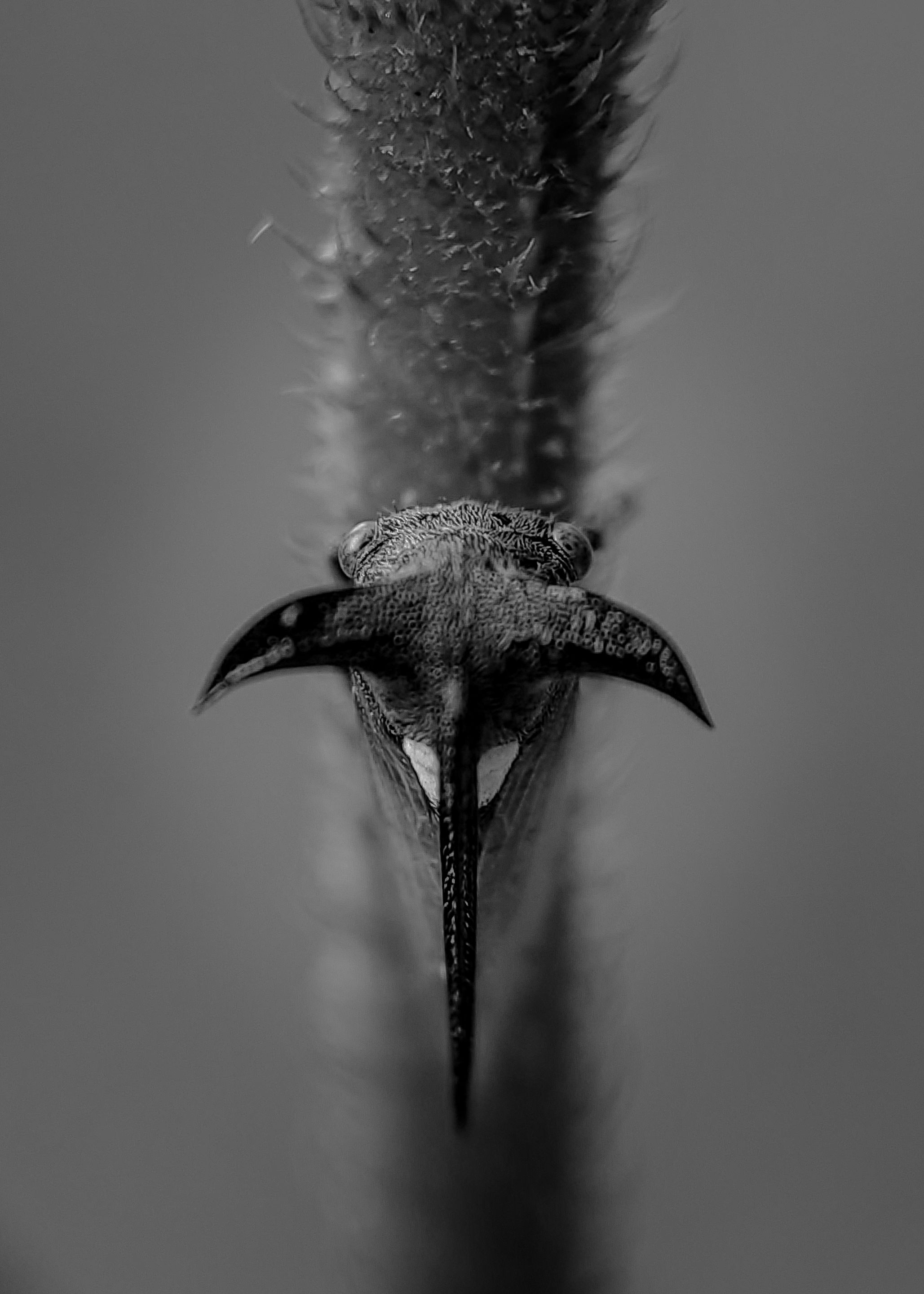IMG_20250622_152247 (1).jpg