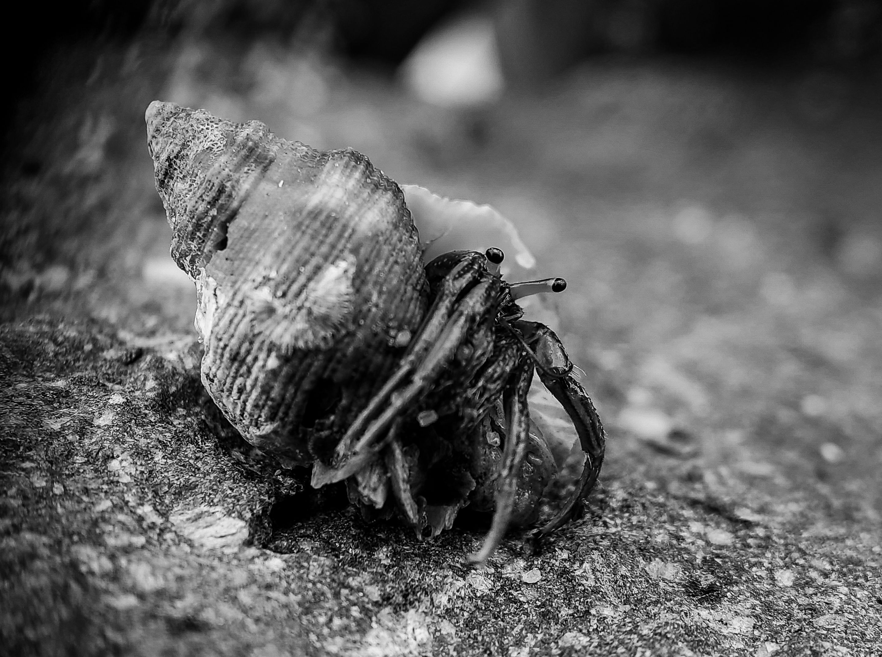 IMG_20250727_170219 (1).jpg