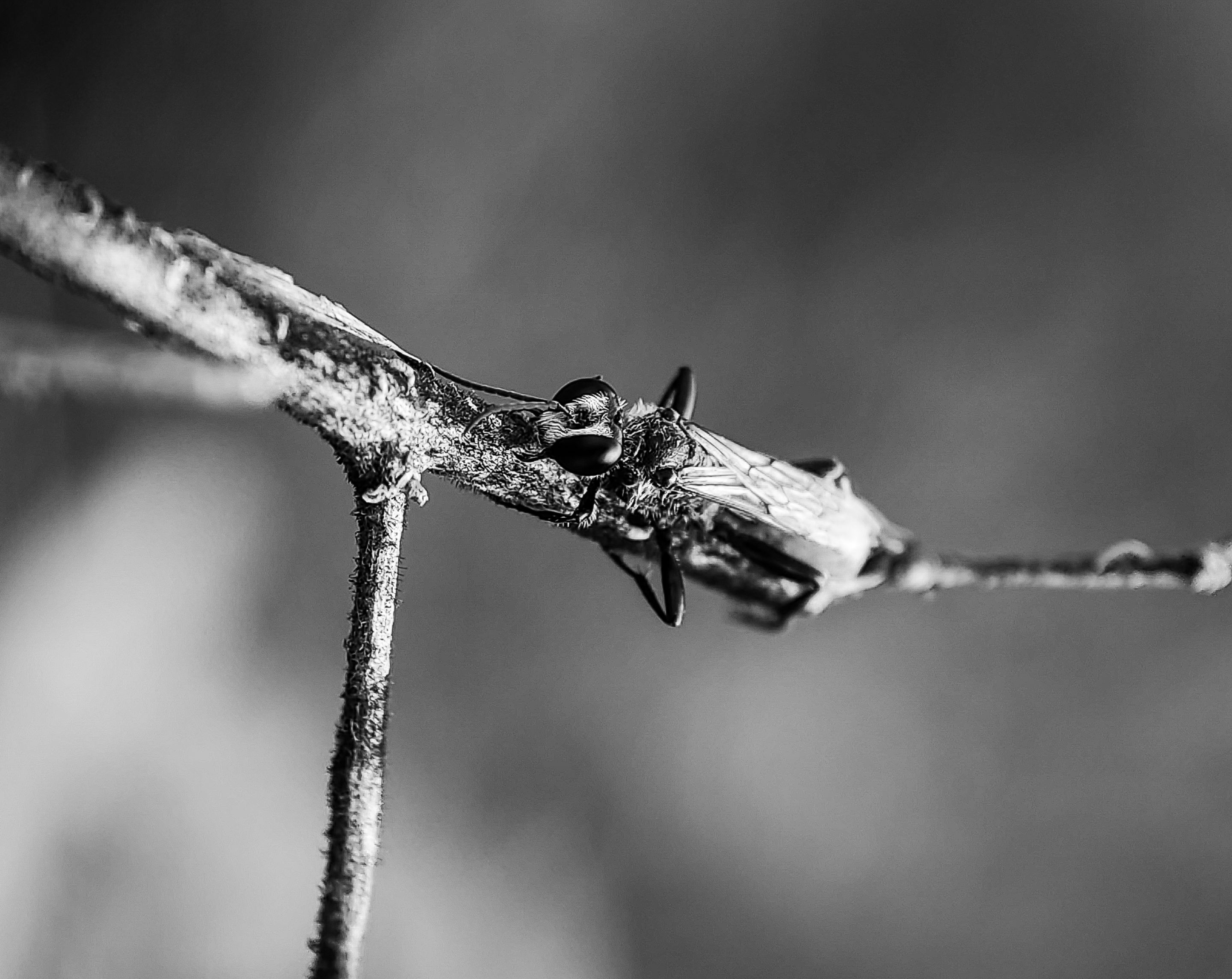 IMG_20250817_172707 (1).jpg