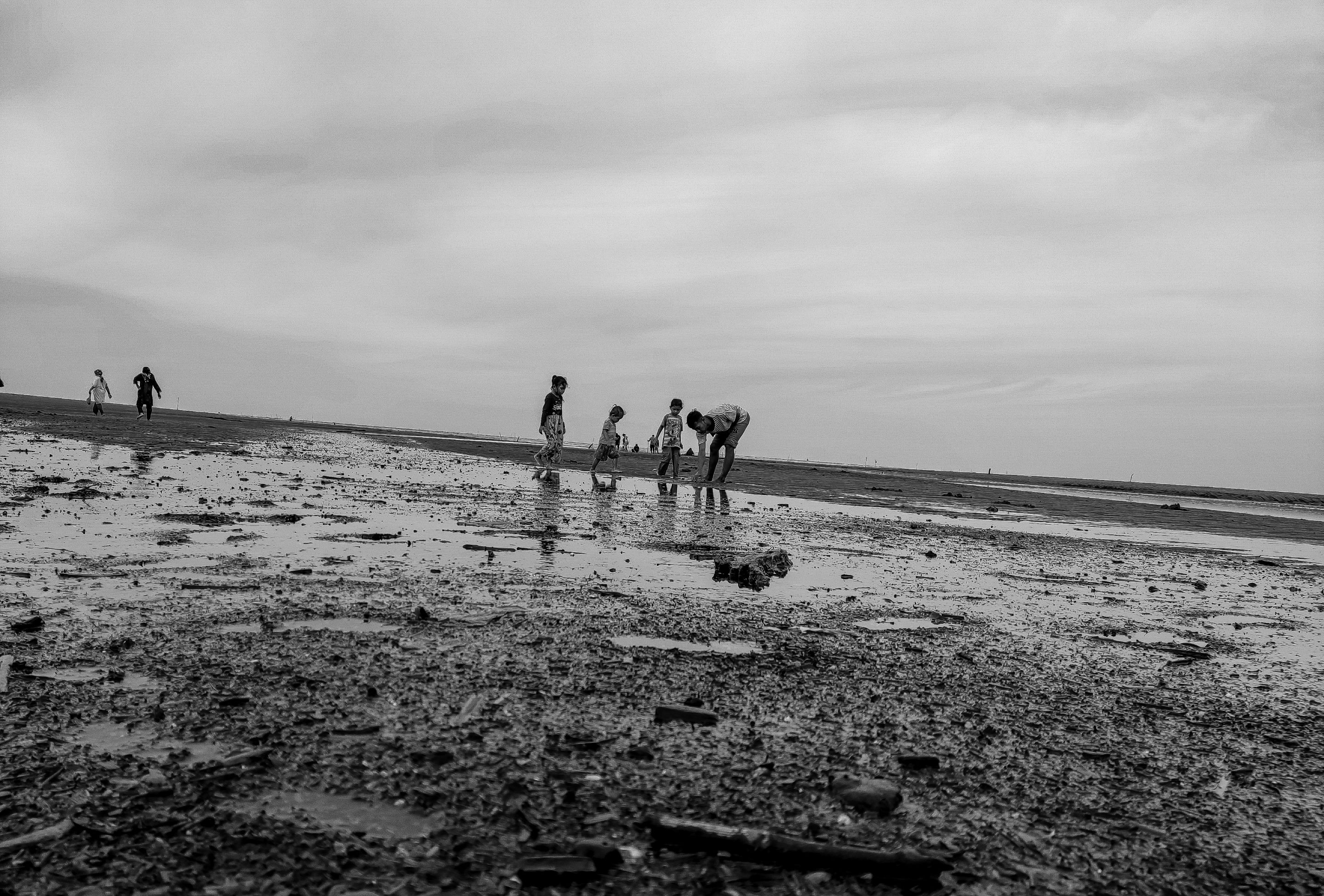 IMG_20250727_162019.jpg