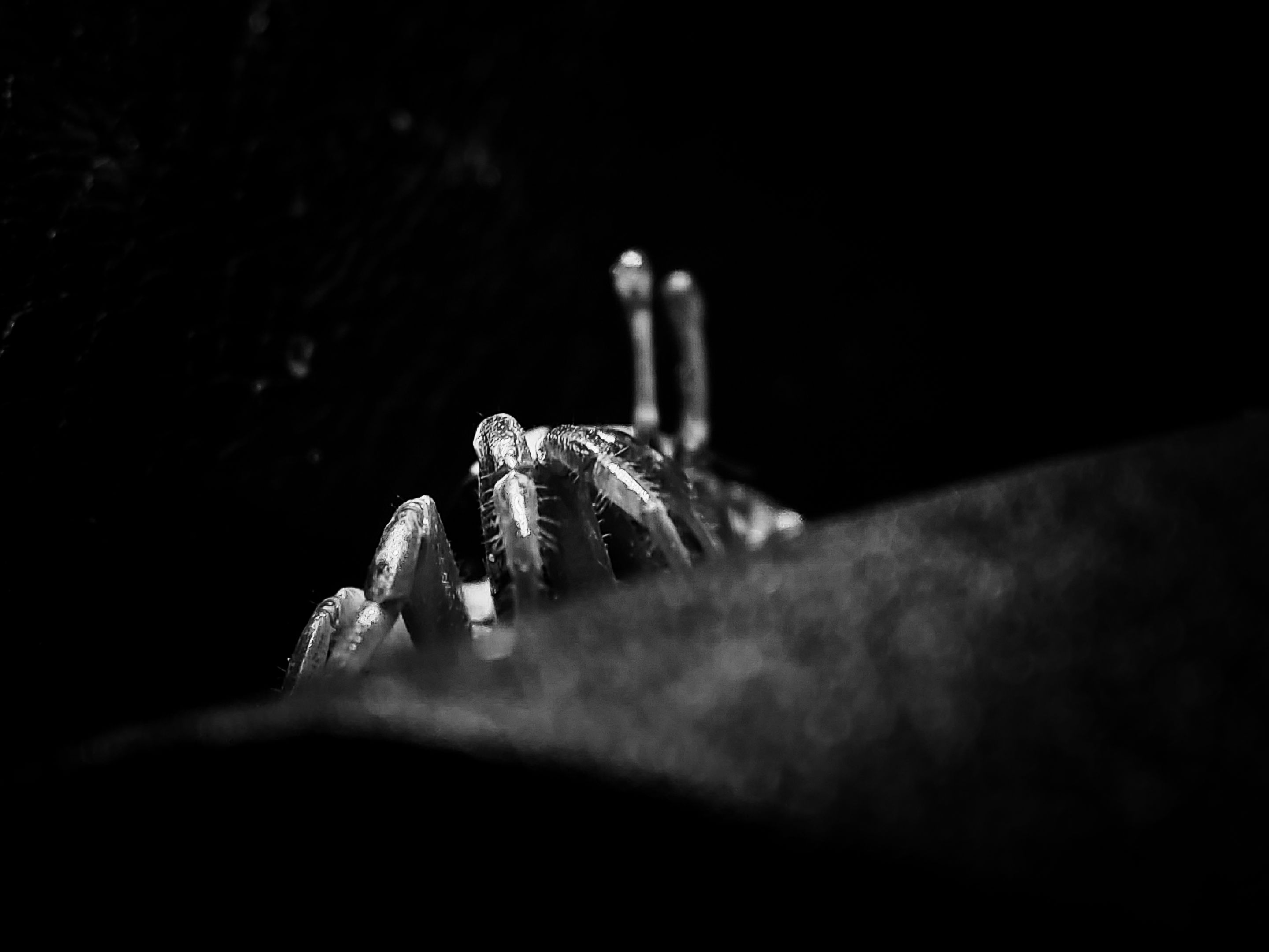 IMG_20250110_184407_1.jpg