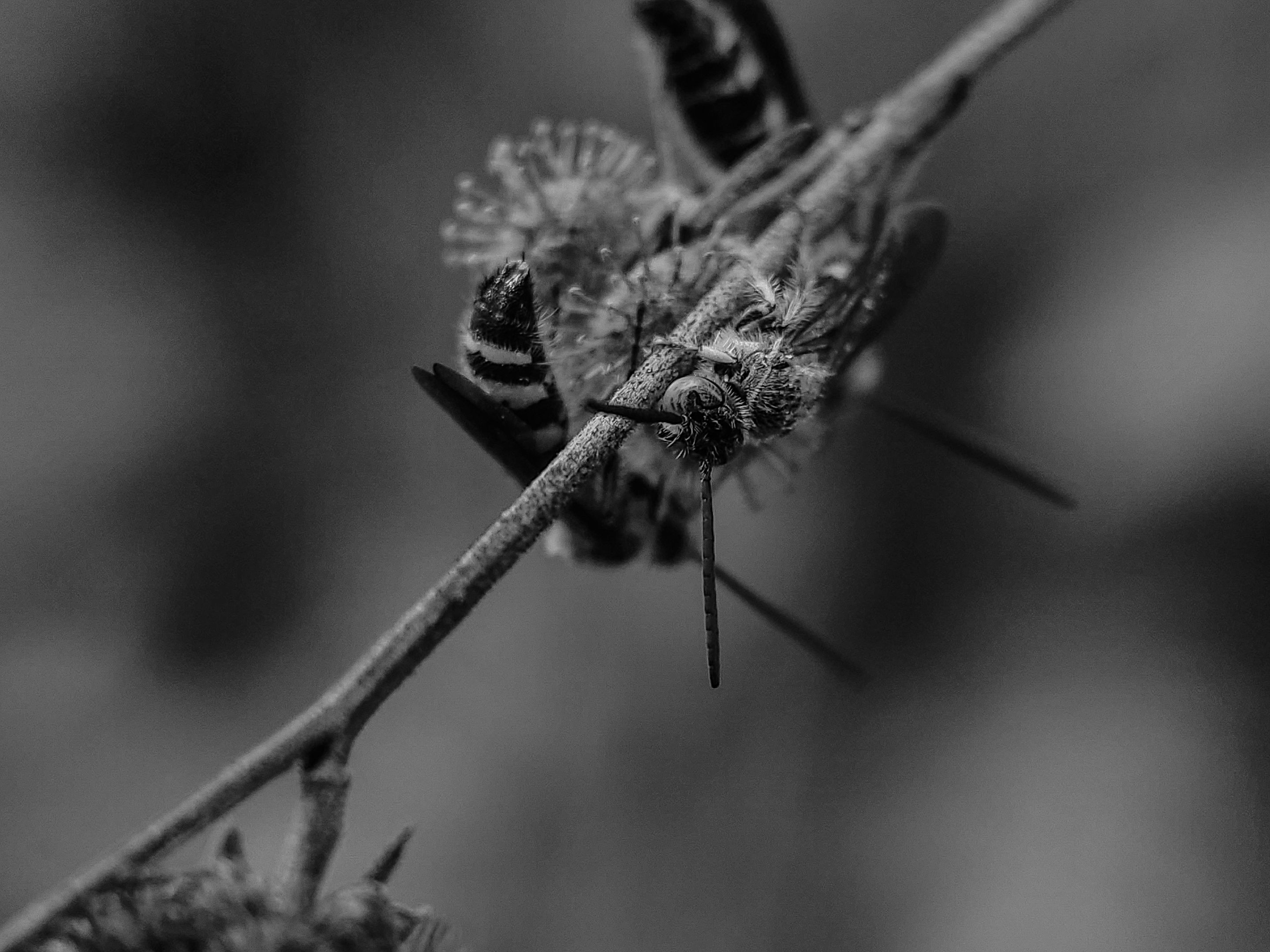 IMG_20250420_171158 (1).jpg