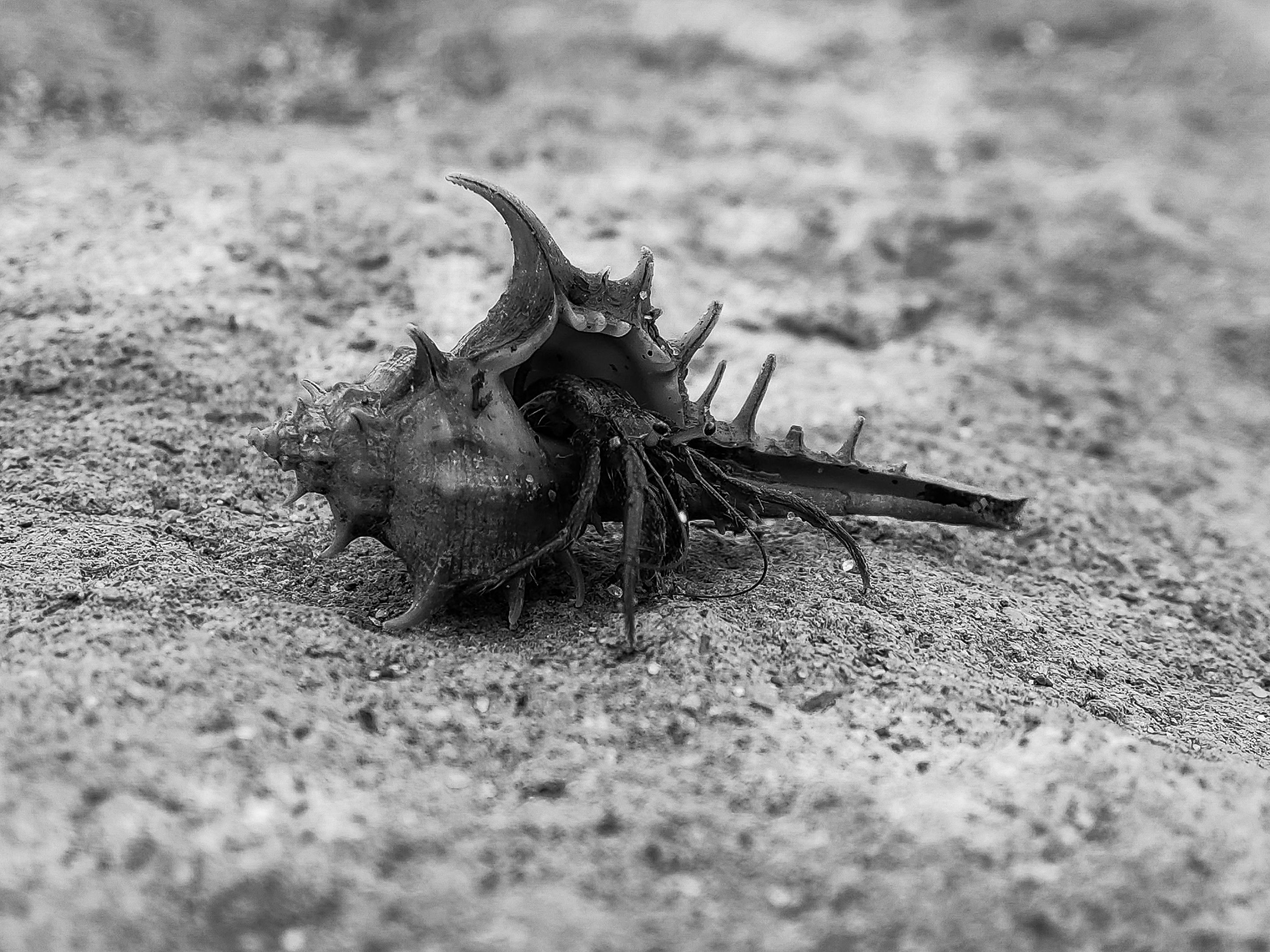 IMG_20250727_164157 (1).jpg