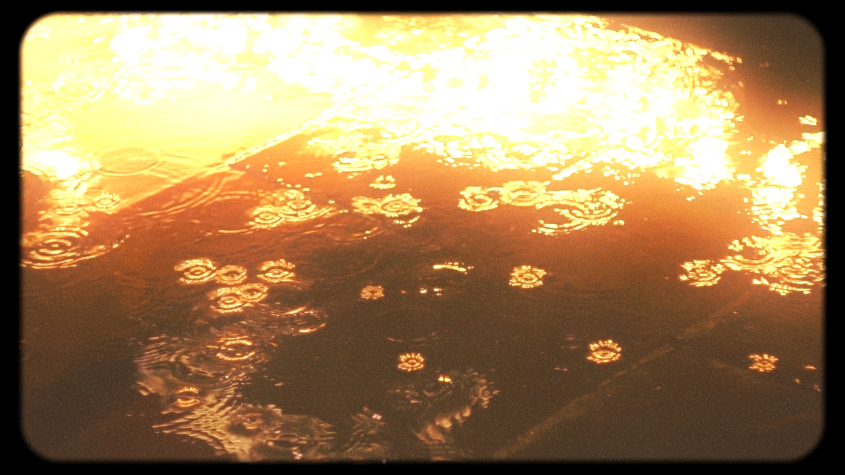 Timeline 1_01_00_15_17.jpg