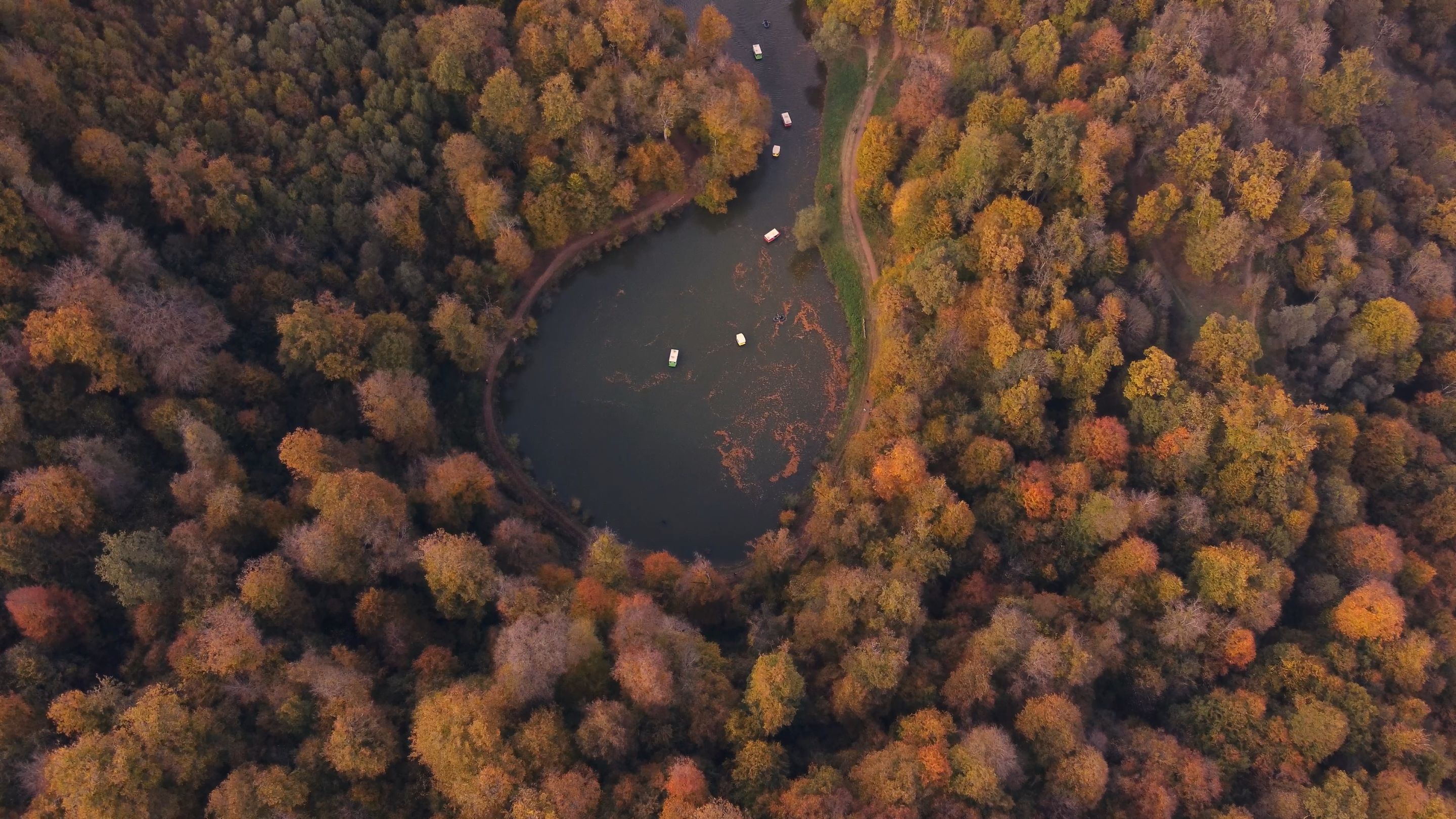 autumn forest lake parz aerial boats 2-0001.png