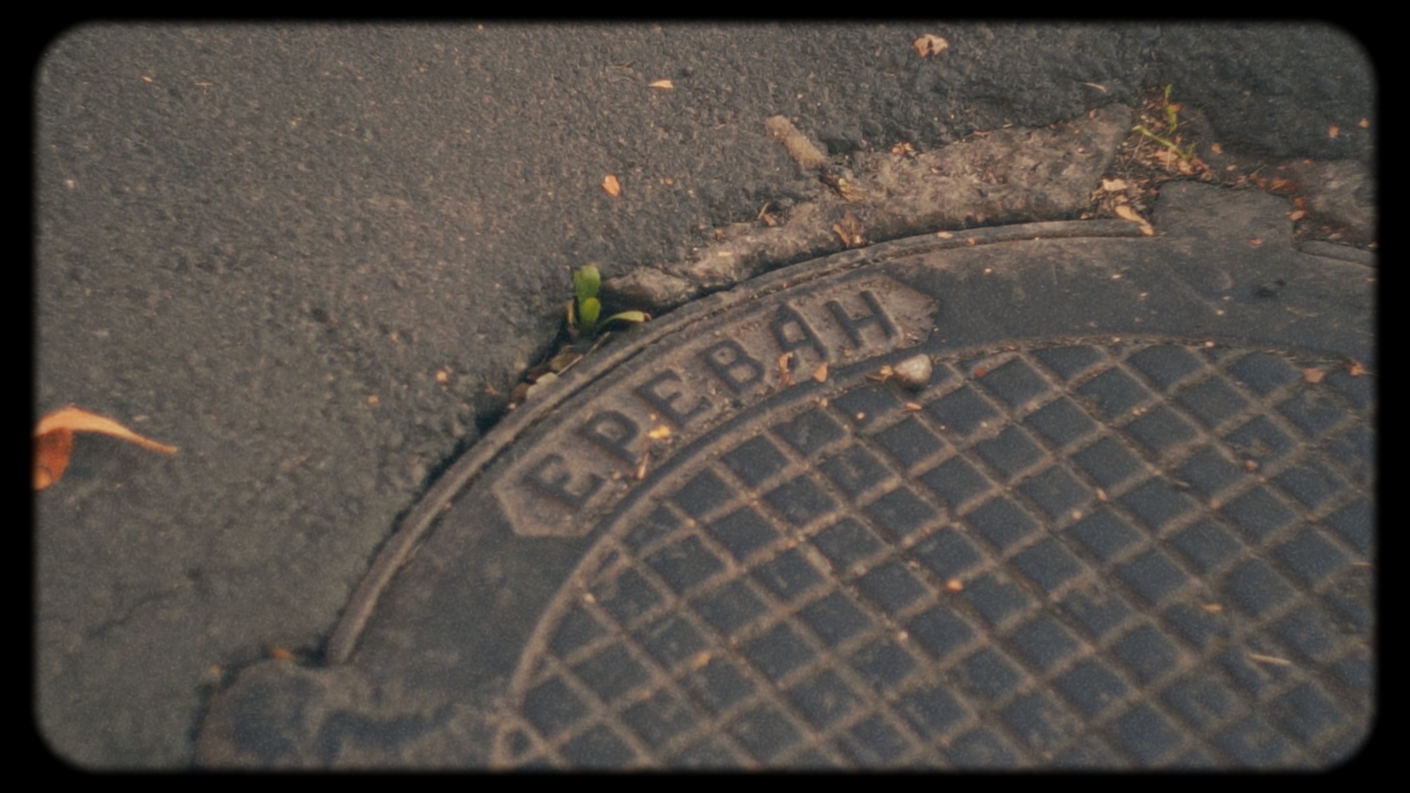 Timeline 1_01_00_48_02.jpg