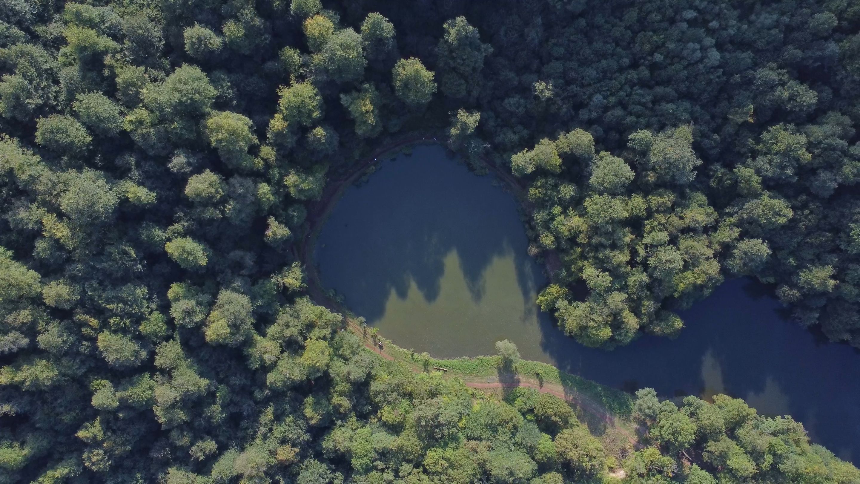 top down view of lark parz-0008.png