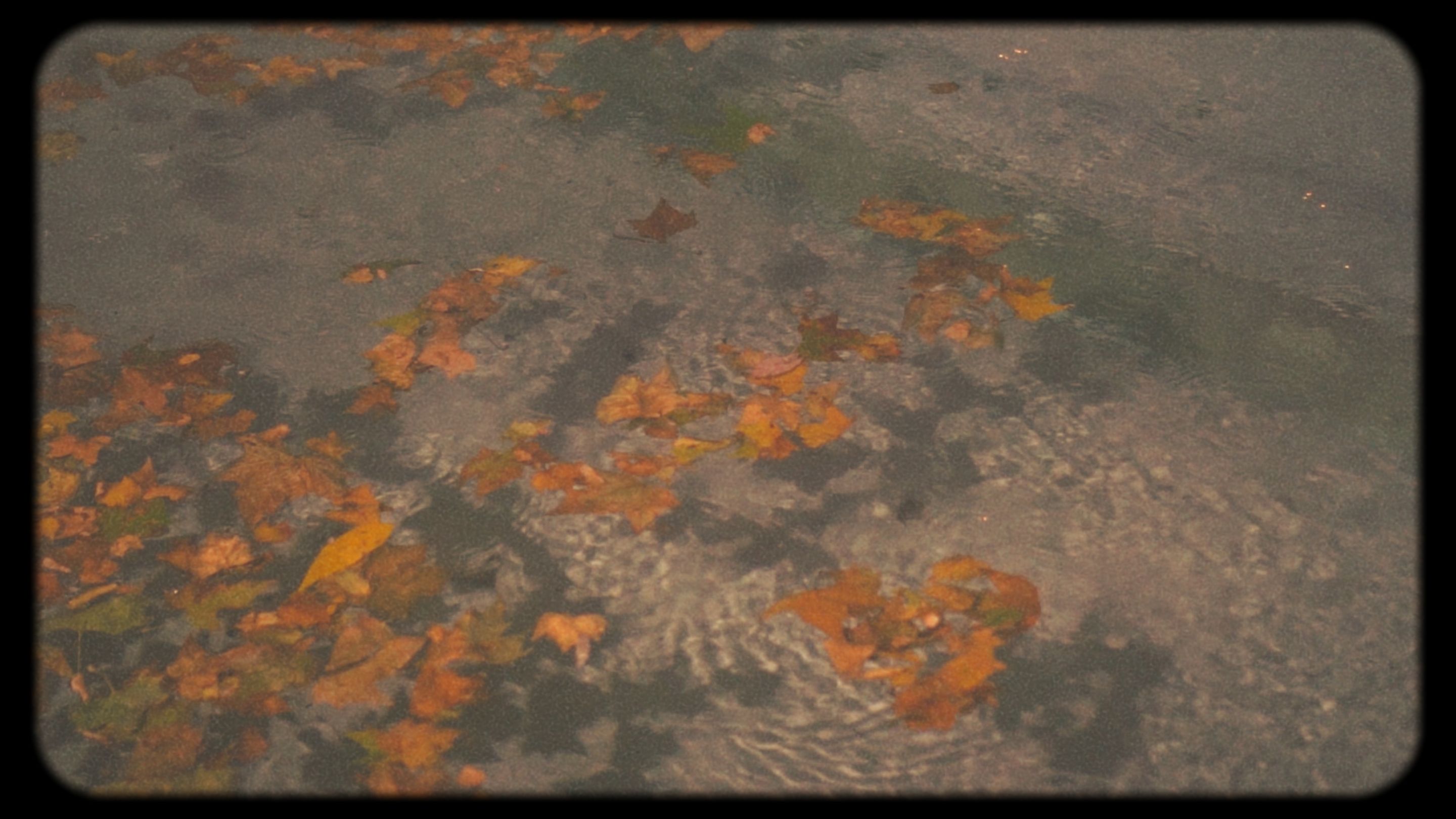 Timeline 1_01_00_01_15.jpg