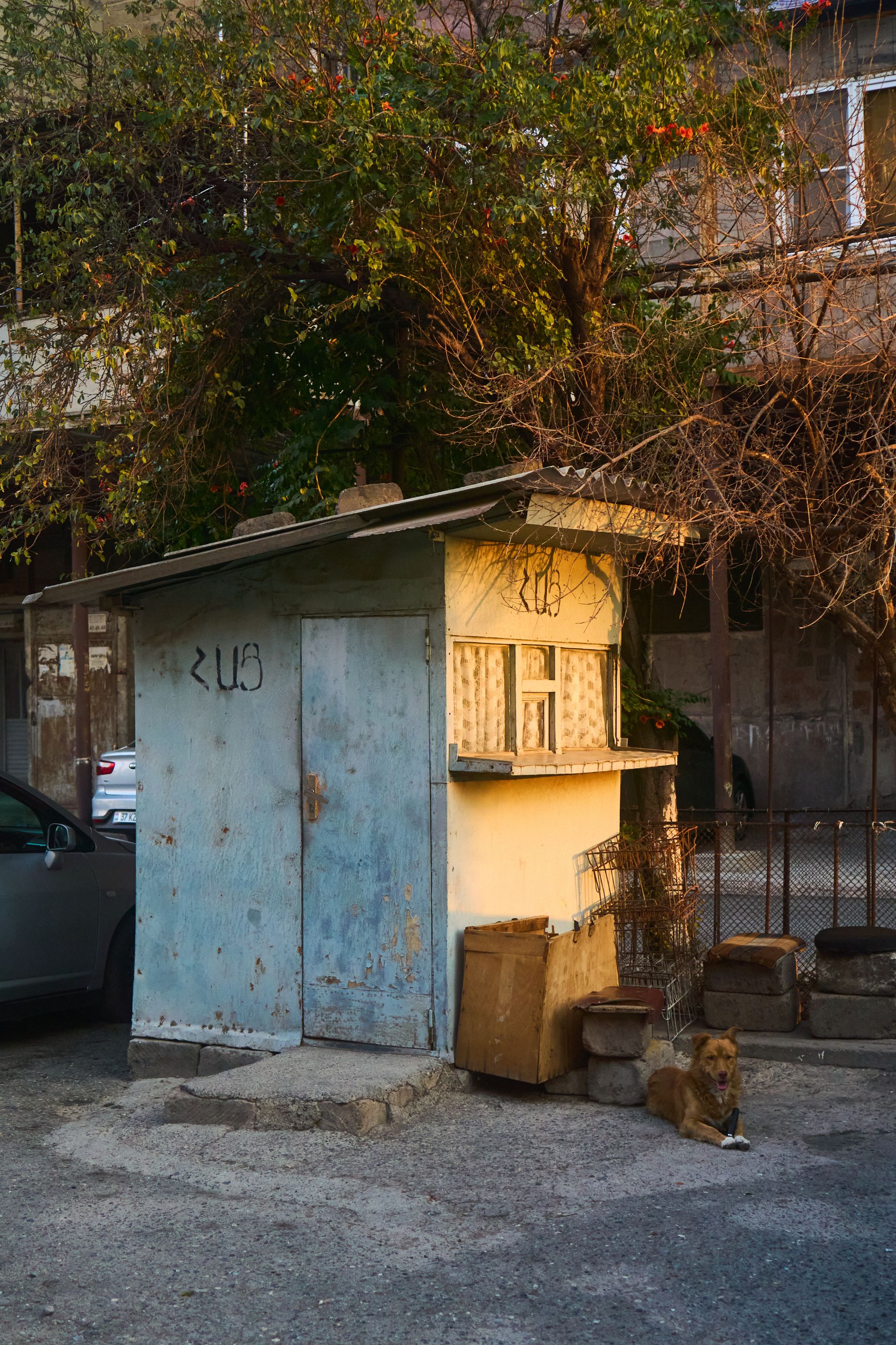 DSC09629 1.jpg