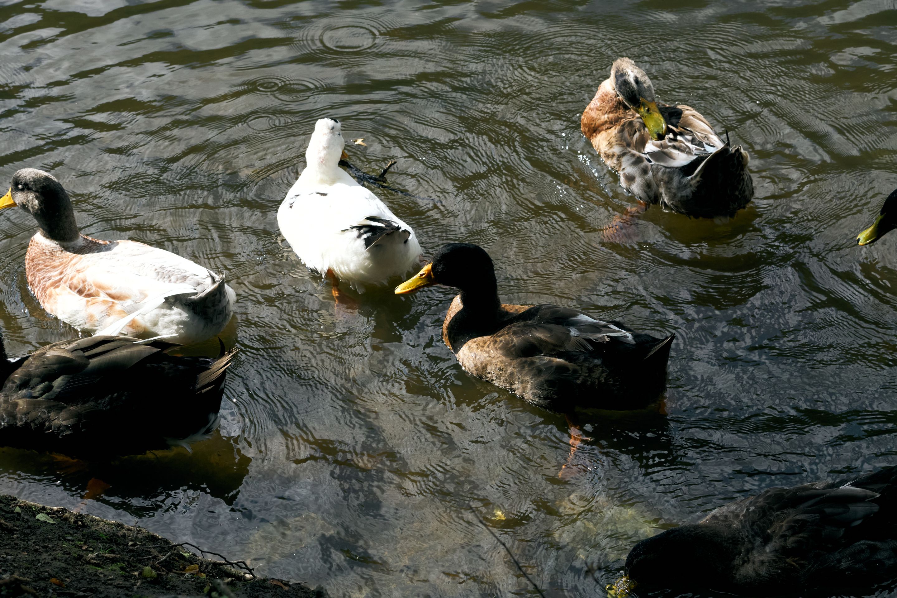 DSC00160.jpg