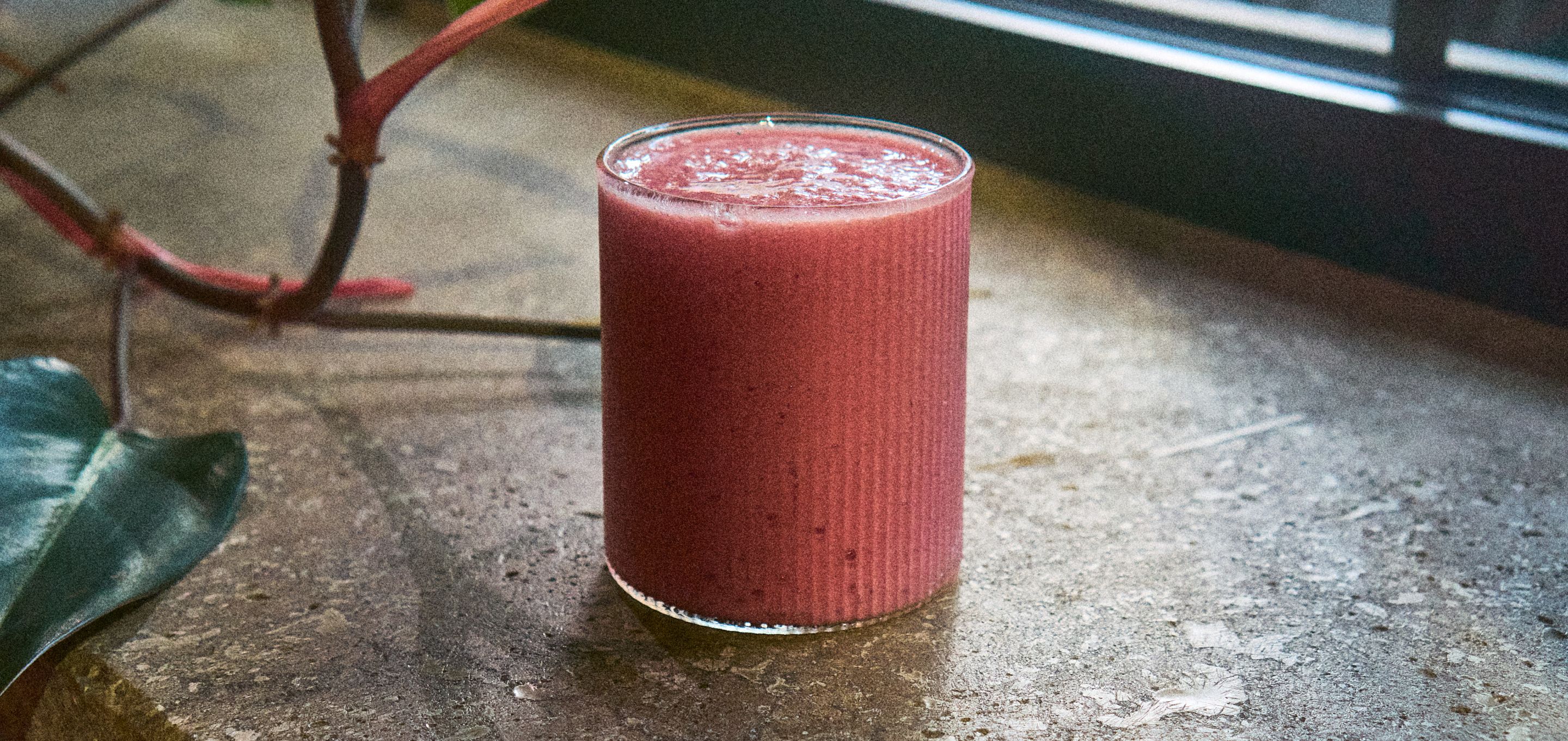 DSC08695.jpg